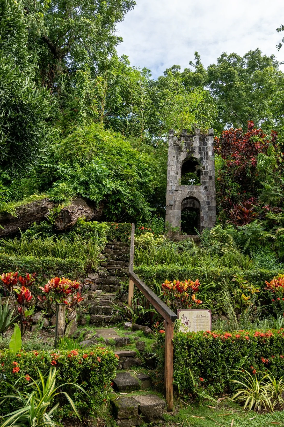 DSC_5740.jpg