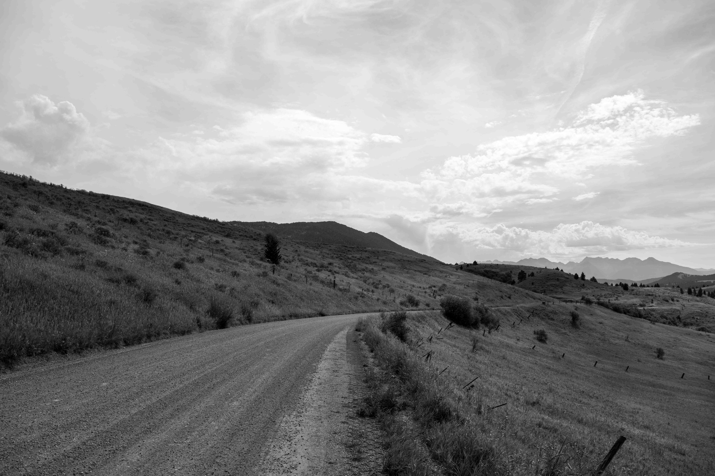 DSC_1310.jpg