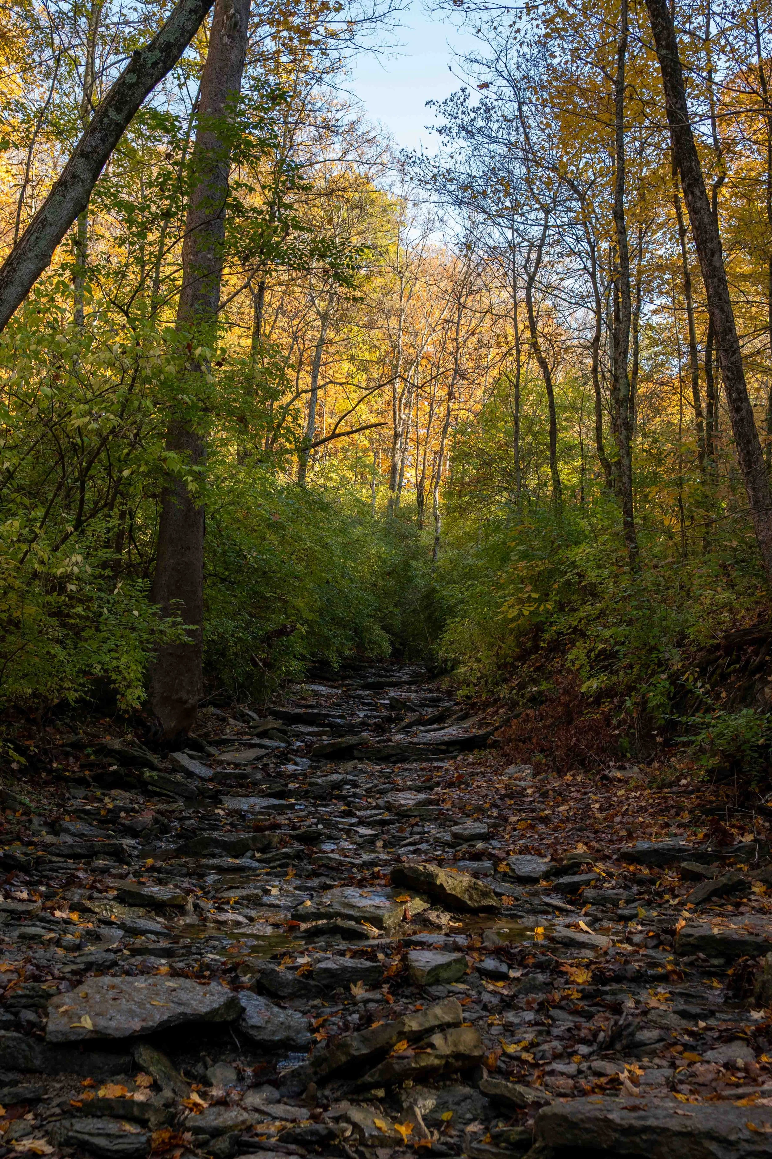 DSC_2410.jpg