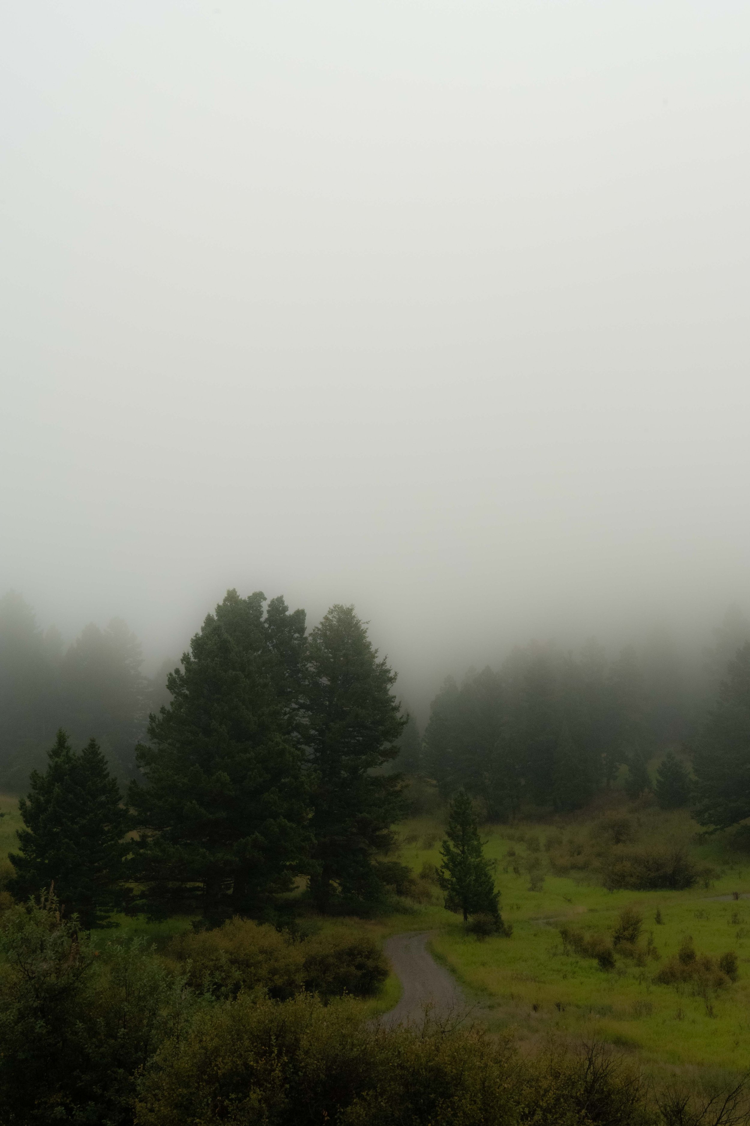 DSC_2116.jpg