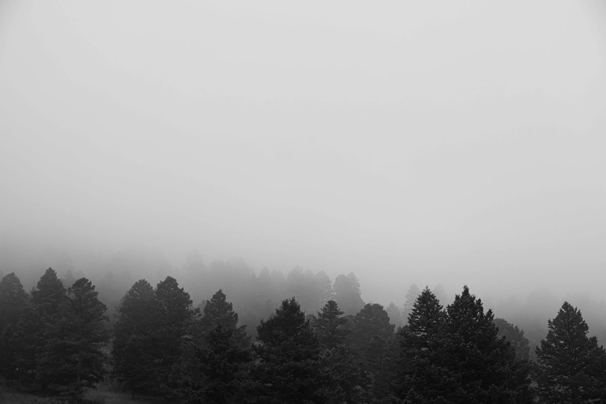 DSC_2121.jpg