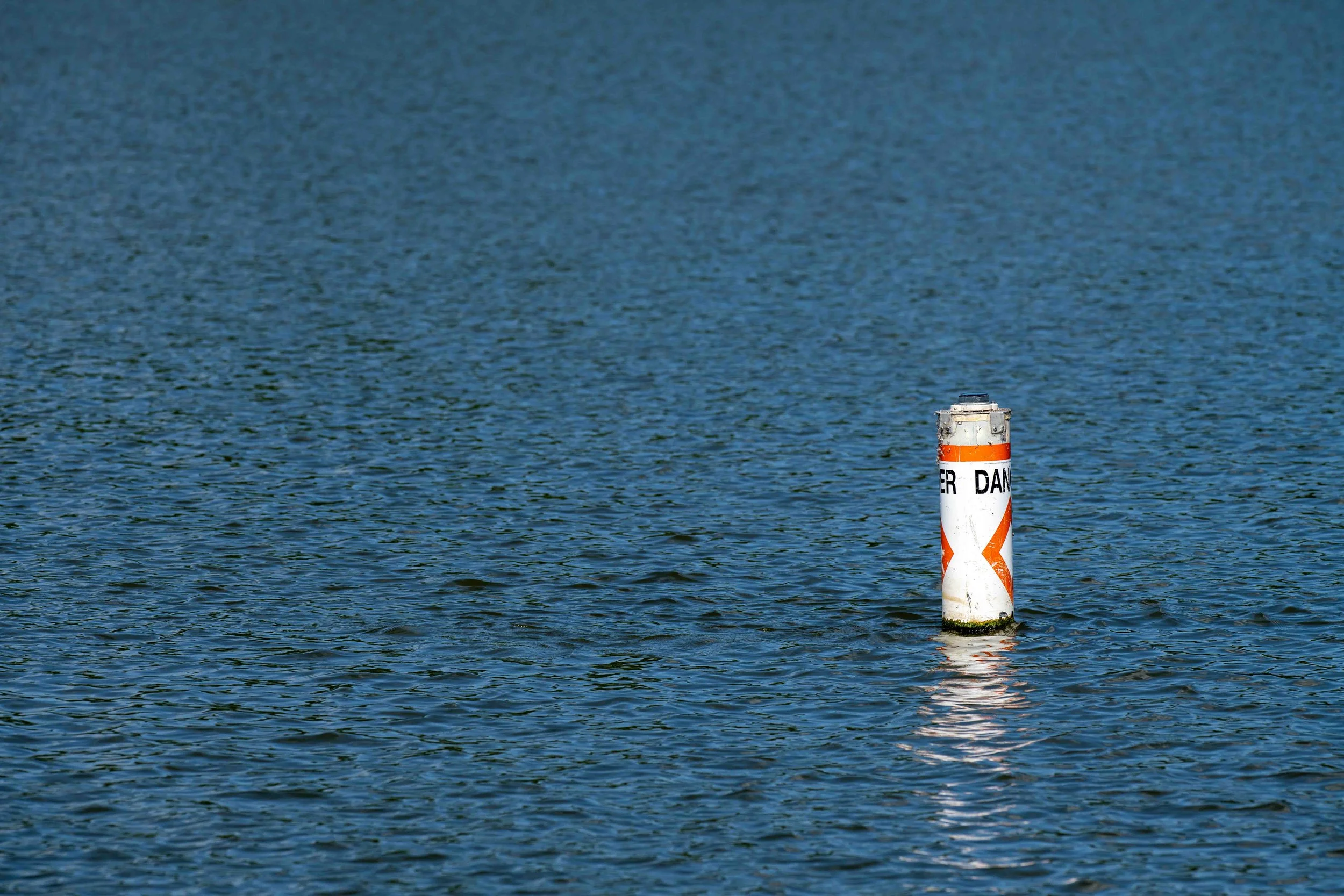 DSC_0443.jpg