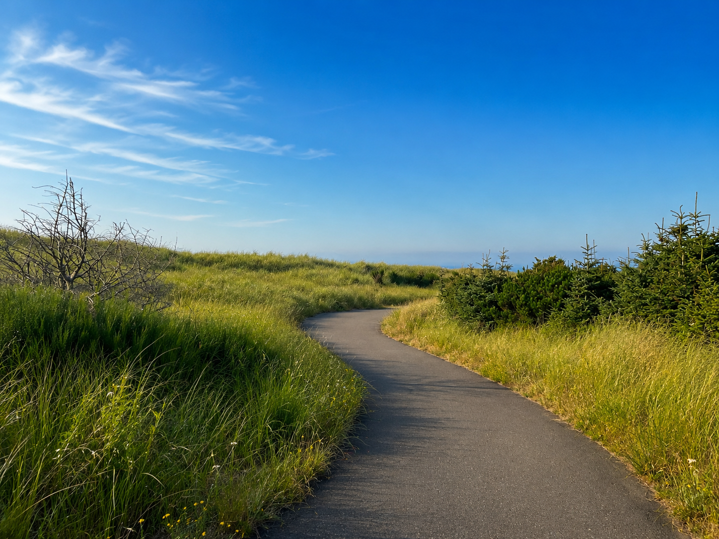 Winding paved path through green grass beneath a blue sky.