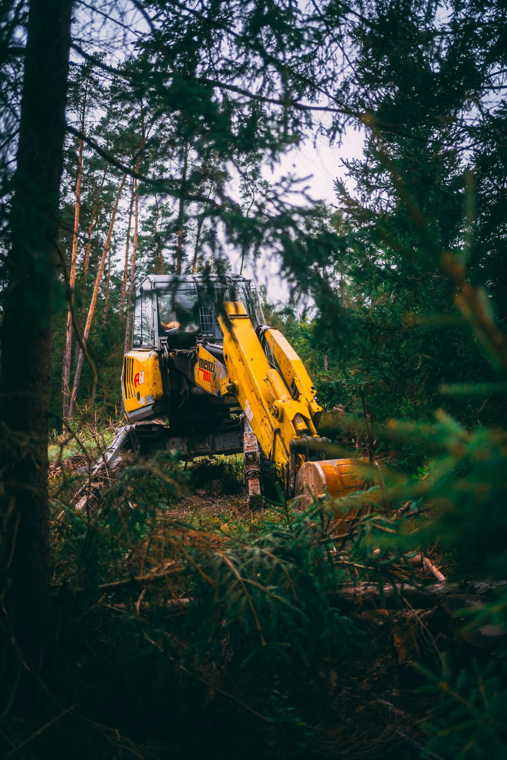 A yellow excavator working in a forest, surrounded by tall trees and dense greenery.
