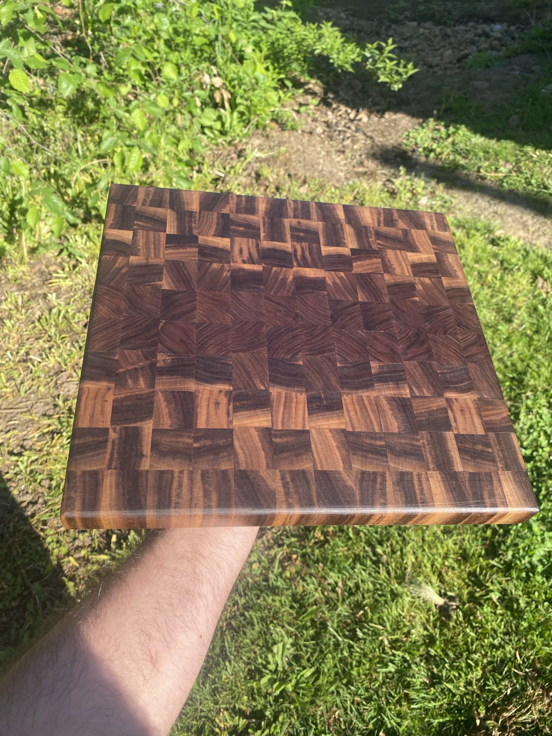 An end-grain cutting block backlit by the sun.
