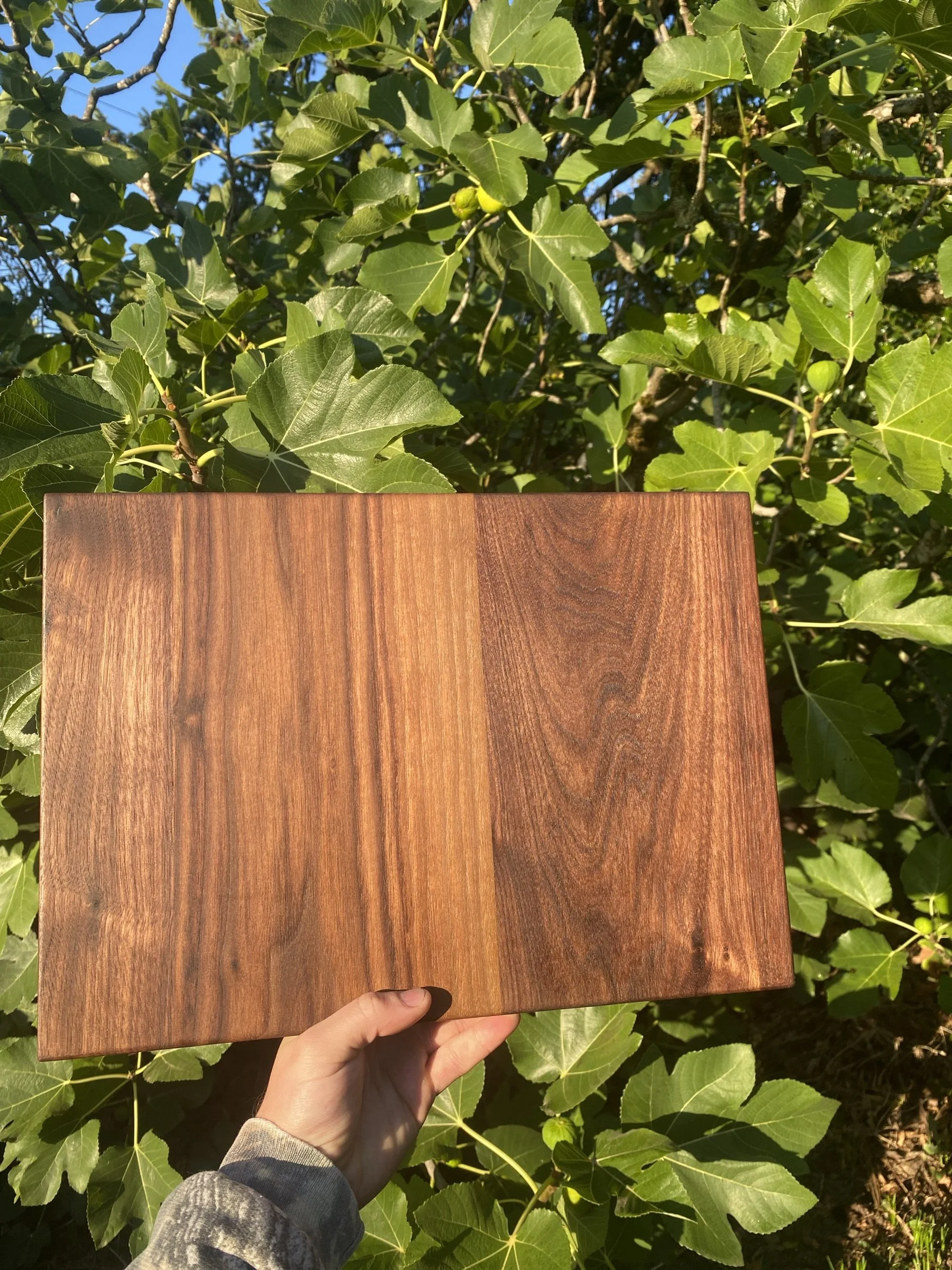 A walnut cutting board held up beside a fig tree.