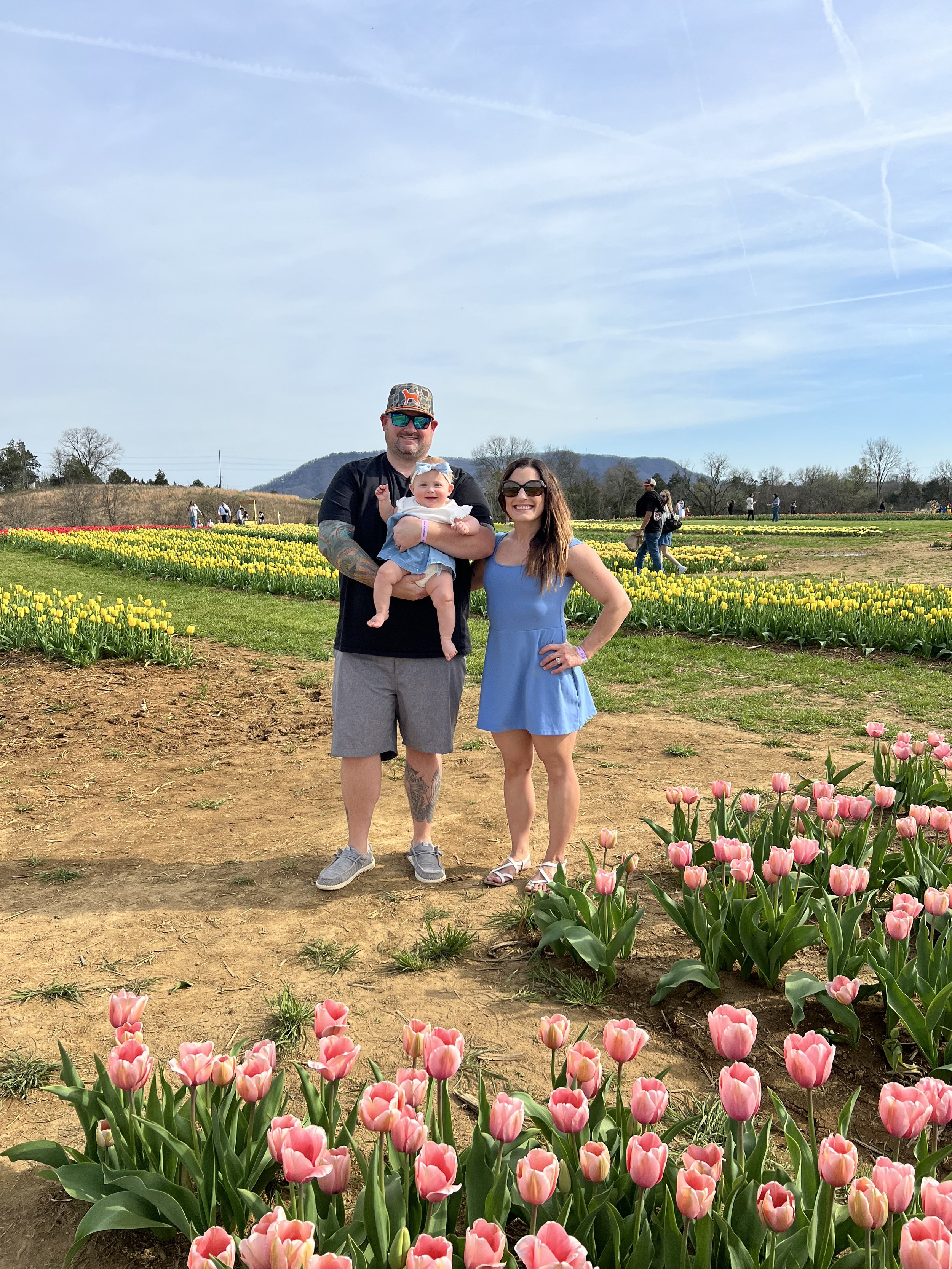 A family of three standing in a tulip field with pink tulips in the foreground and yellow tulips behind. The man is holding a baby girl, and a woman is standing beside them. There are people in the background walking among the tulips, with clear skies and some trees and hills in the distance.