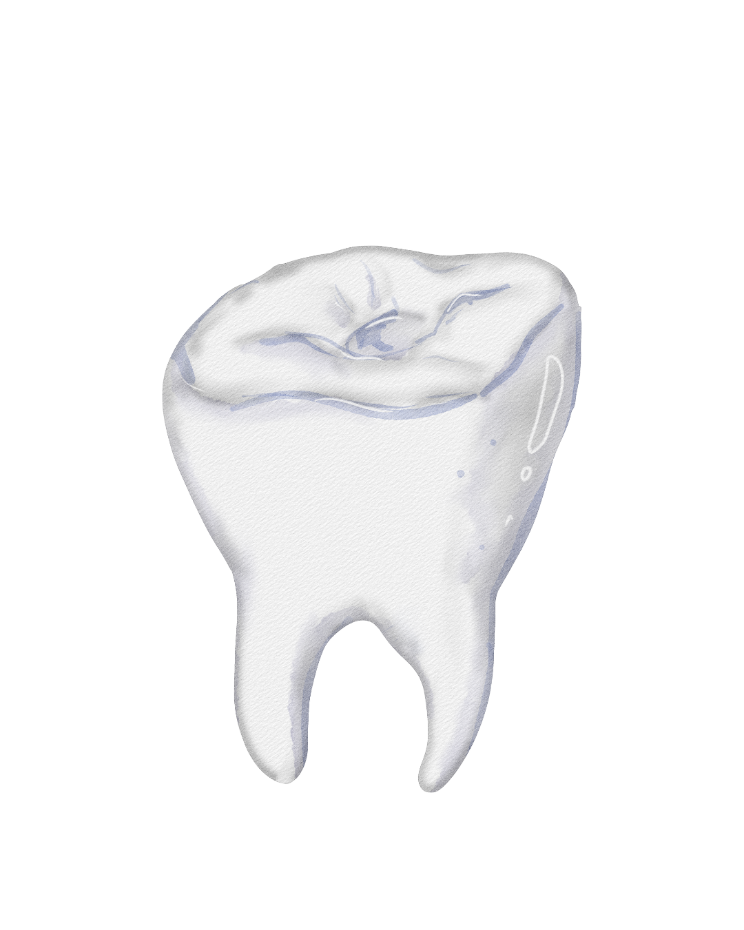 Illustration representing family and preventative dentistry at Fort Dental Clinic.