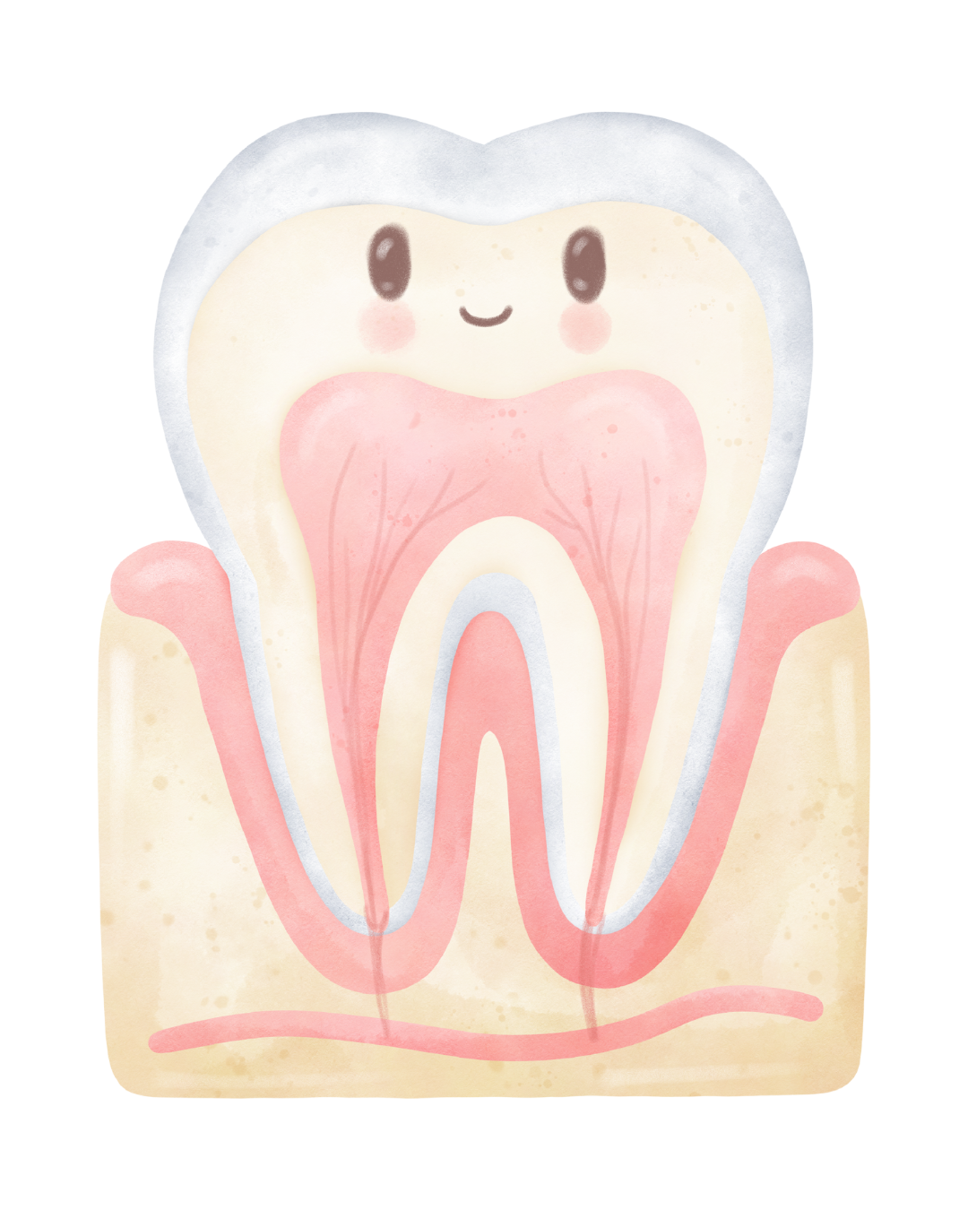 Illustration representing children's dentistry at Fort Dental Clinic.