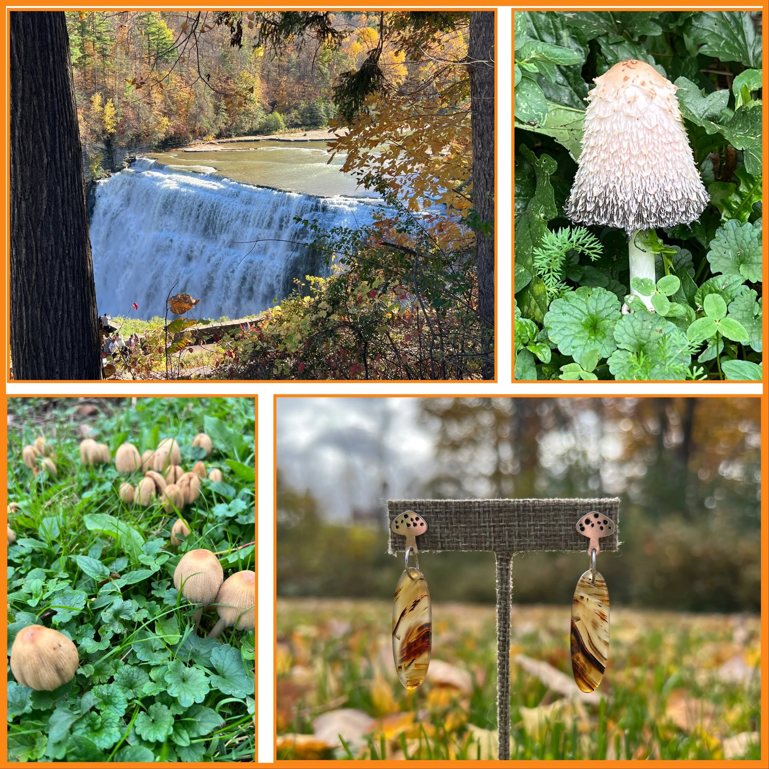 Who else loves fall colors and mushrooms? Our Montana Agate Mushroom Earrings released earlier this week and capture the whimsy of our favorite season over at Roc City Smithy 🍄&zwj;🟫🍂

#natureinspiredjewelry #montanaagate #autumn #silverjewelry #s