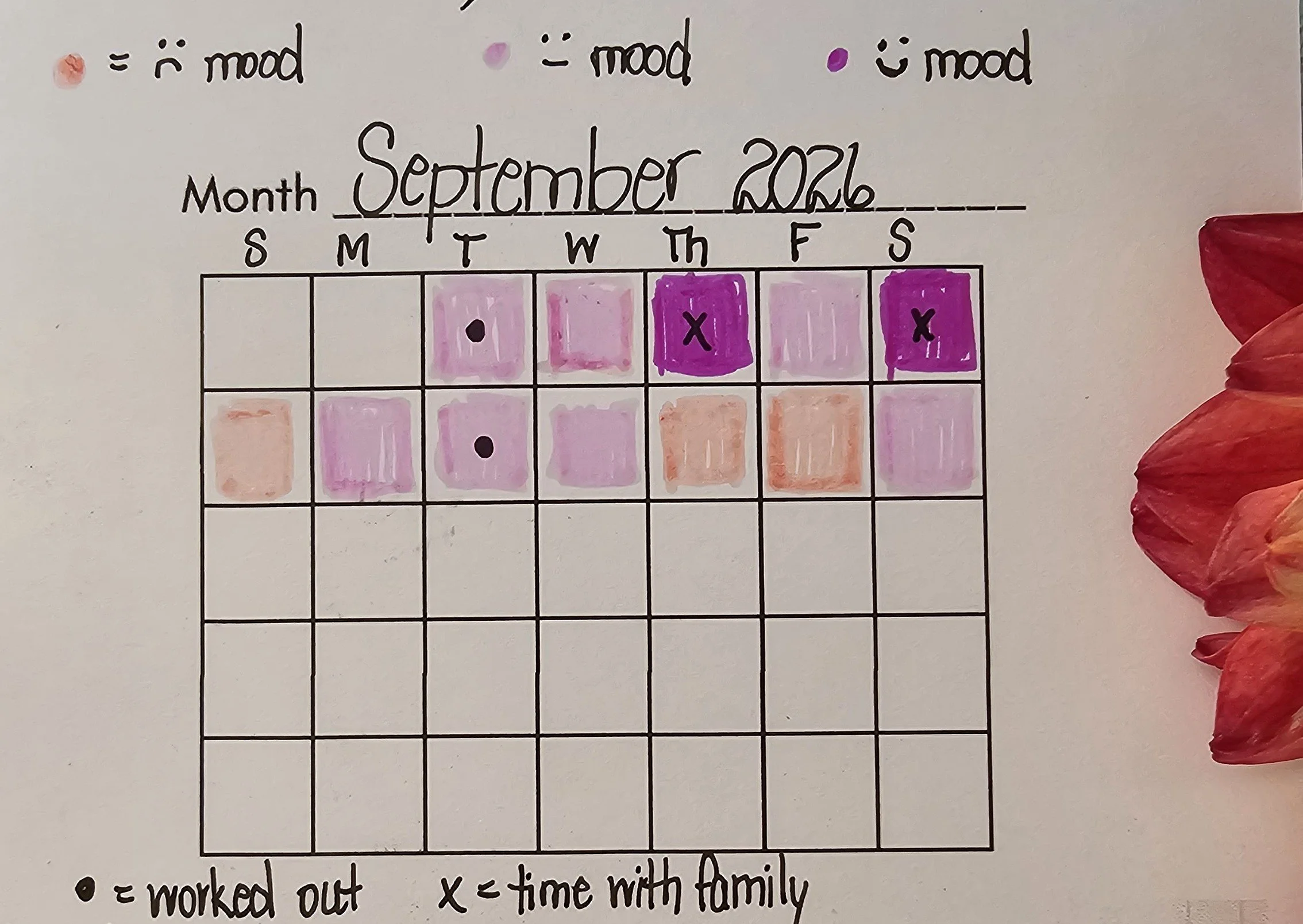 Inspector | Month