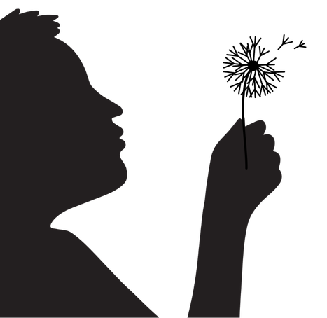 A person in silhouette holding a dandelion. Some of the fruits are floating away.