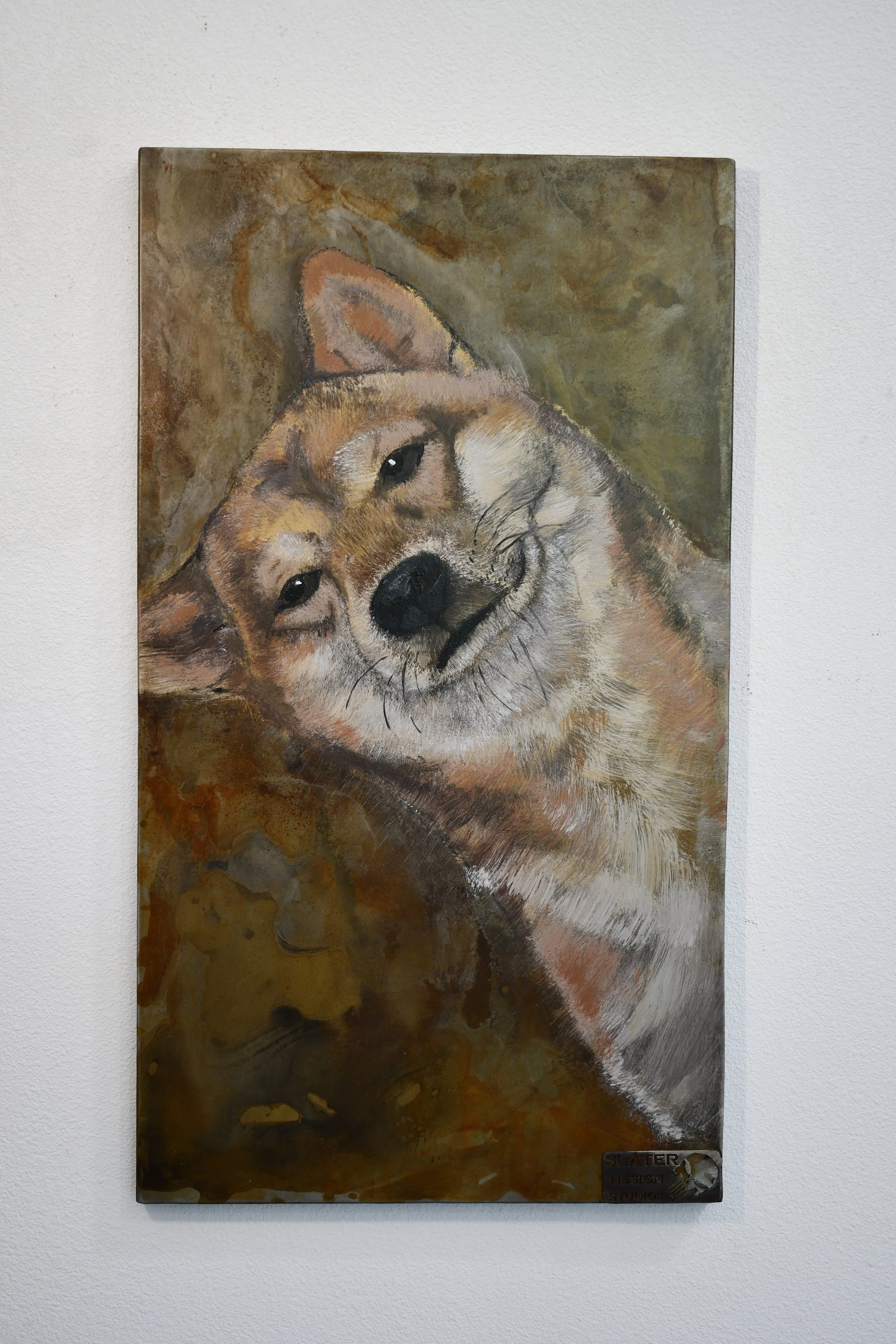 DSC_2429.JPG