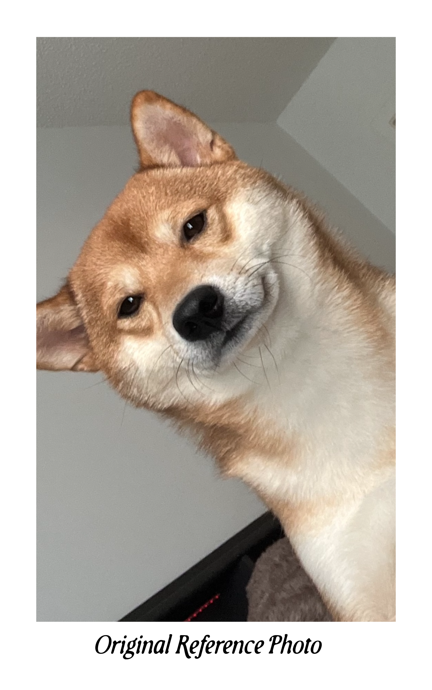 Untitled - August 01, 2026 at 15.03.41 (7).png