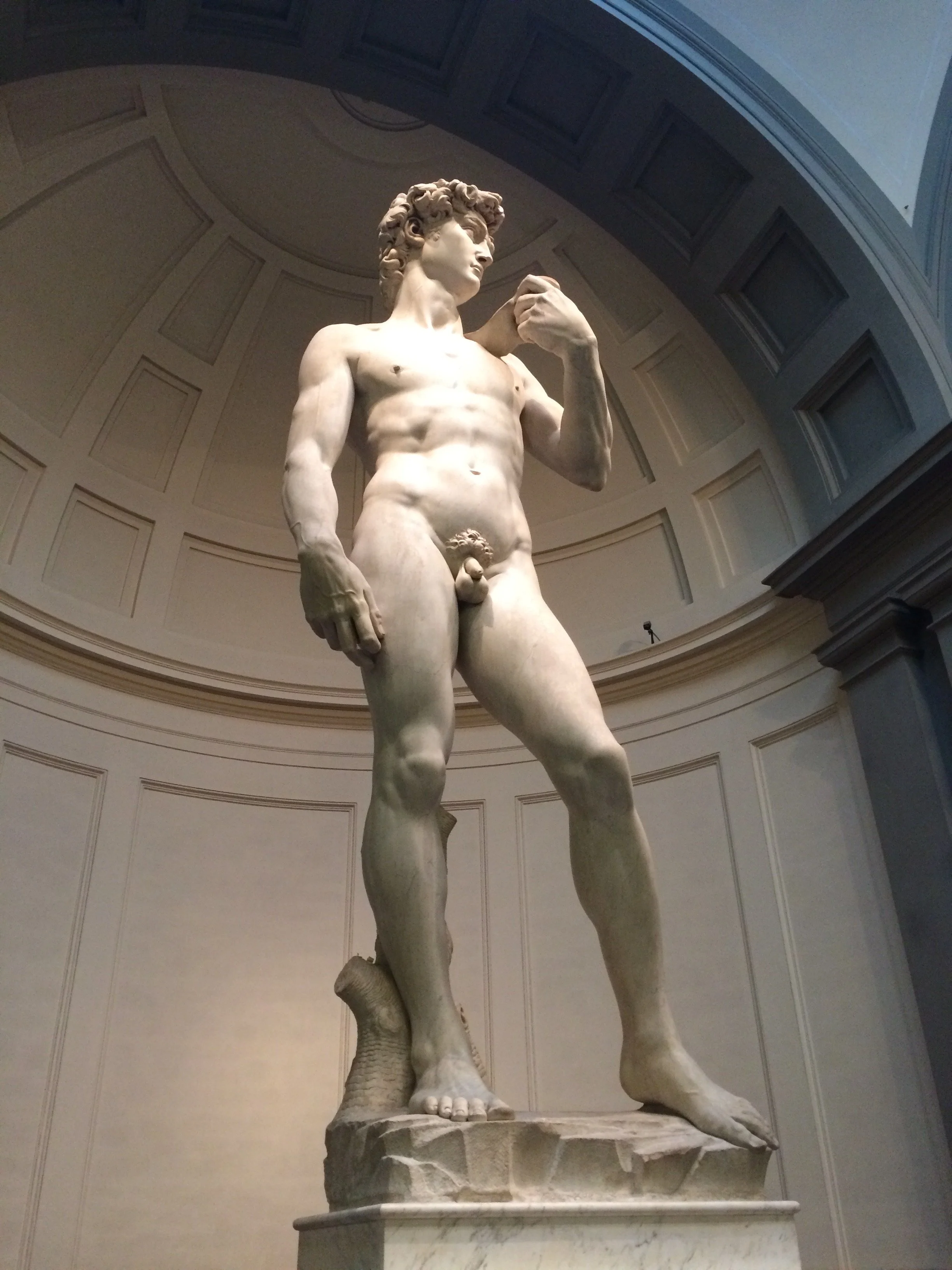 The David, Florence, Italy