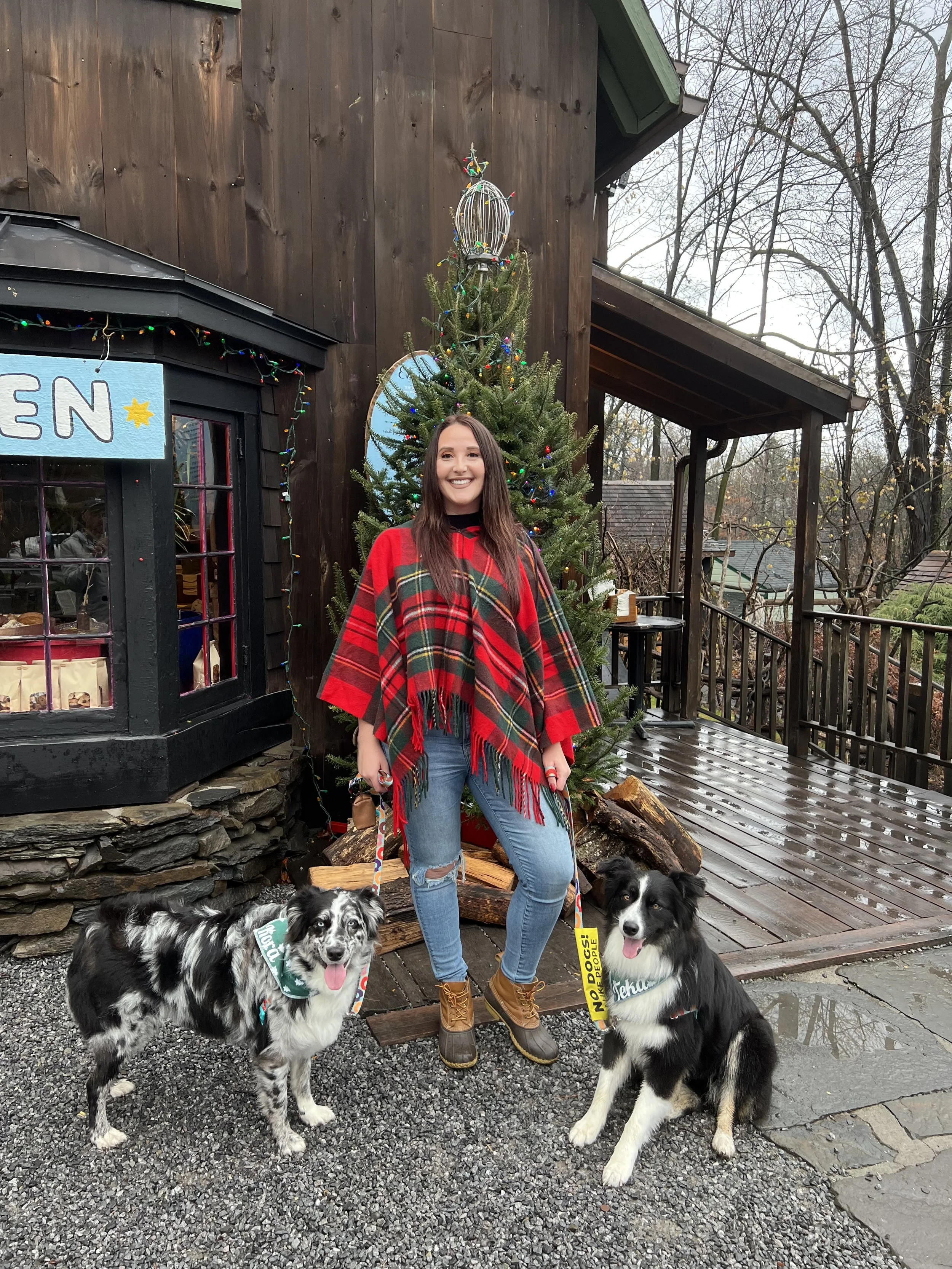 A woman standing outside in front of a decorated Christmas tree and a wooden building, smiling, with two dogs on leashes, one black and white with a green bandana, the other black and white with a yellow bandana, on a rainy day.