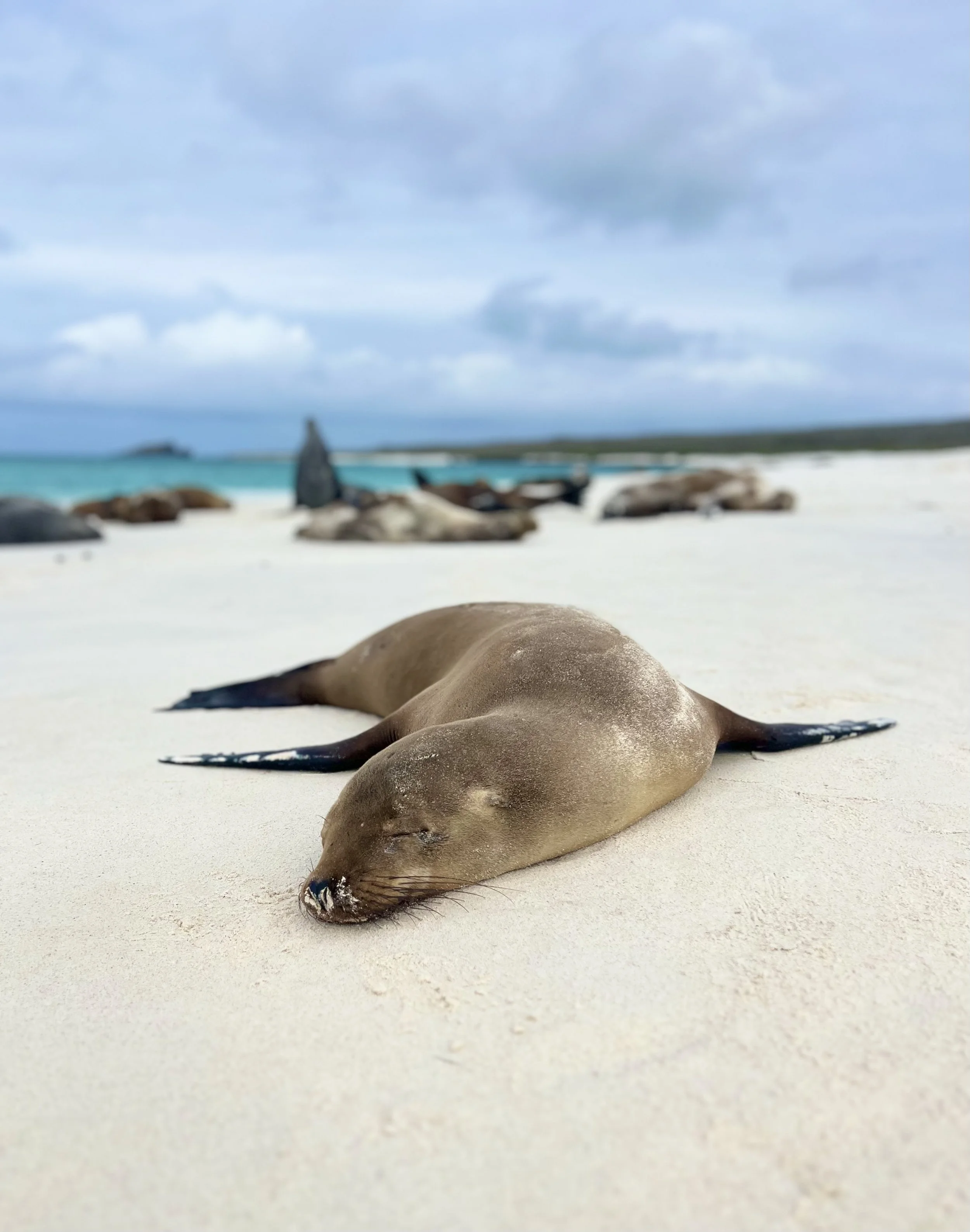 Galapagos Islands, Ecuador