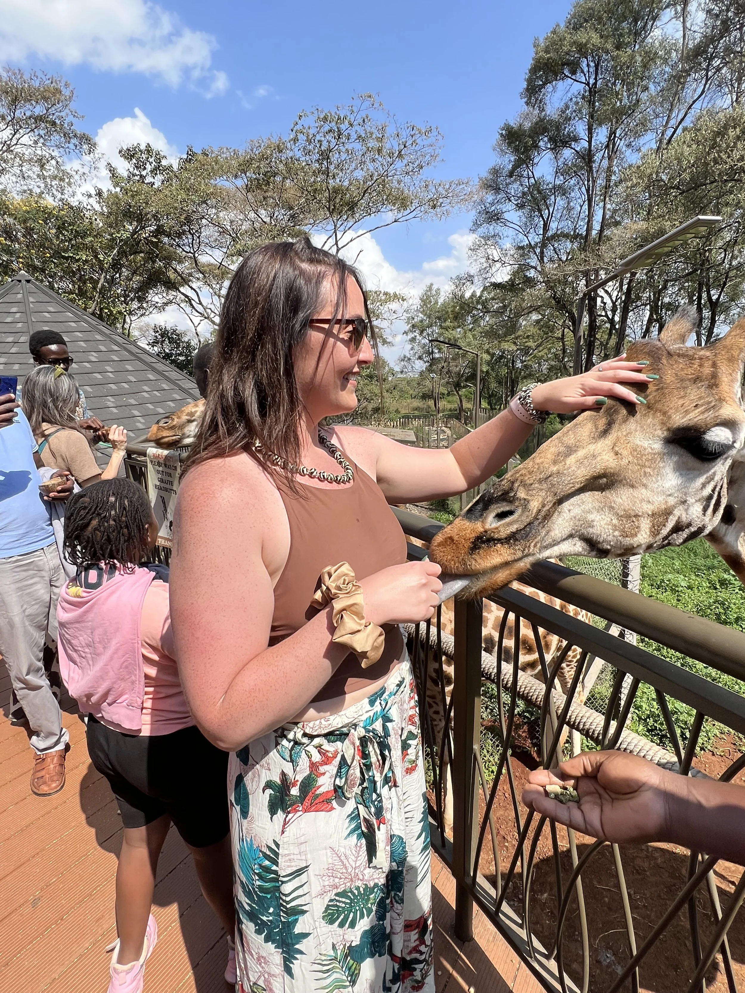 Young brunette woman feeding a giraffe and petting its head. Nairobi, Kenya.