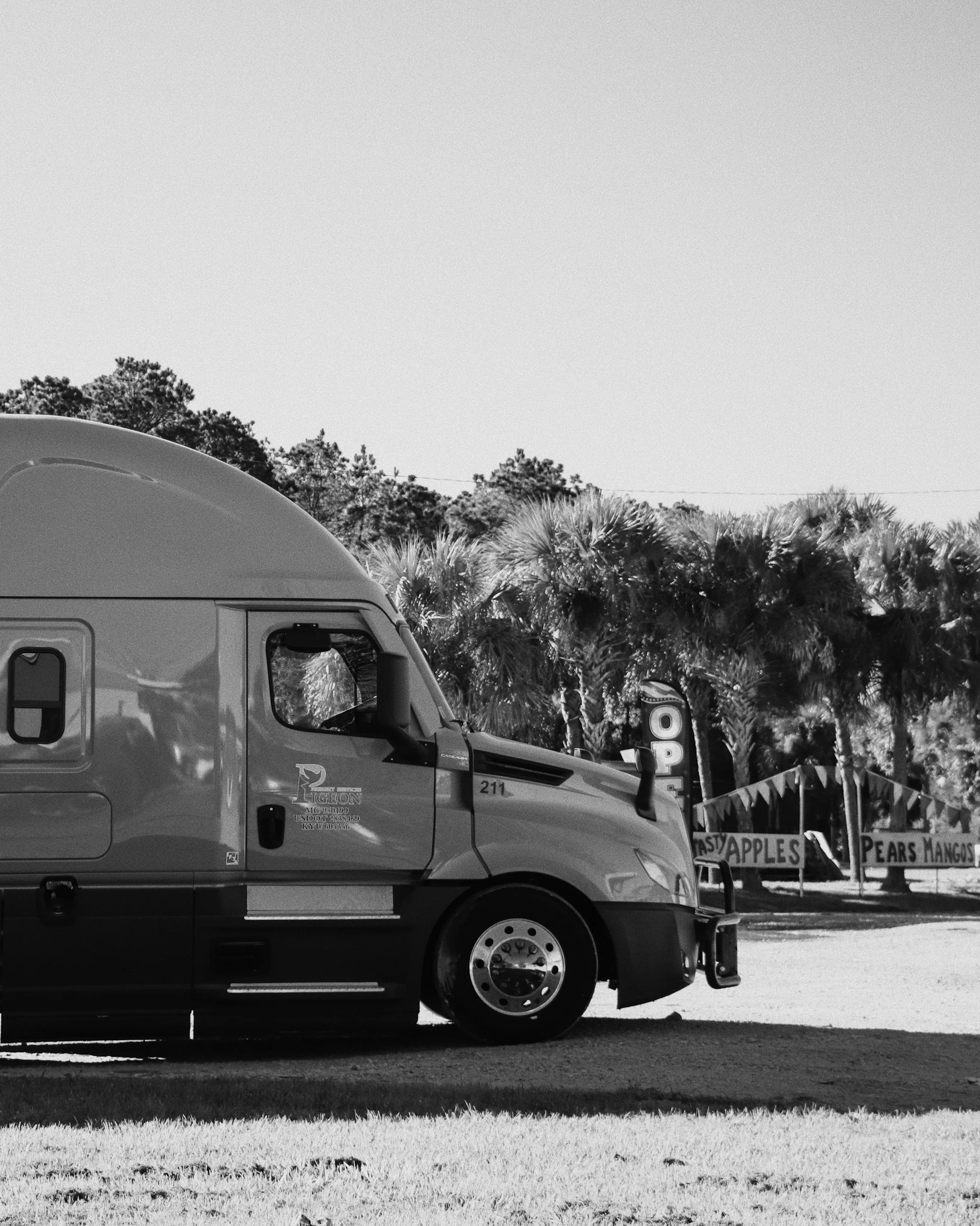 A partial view of a recreational vehicle parked in a lot, with trees and signage for a fruit stand selling apples, pears, and mangoes in the background.