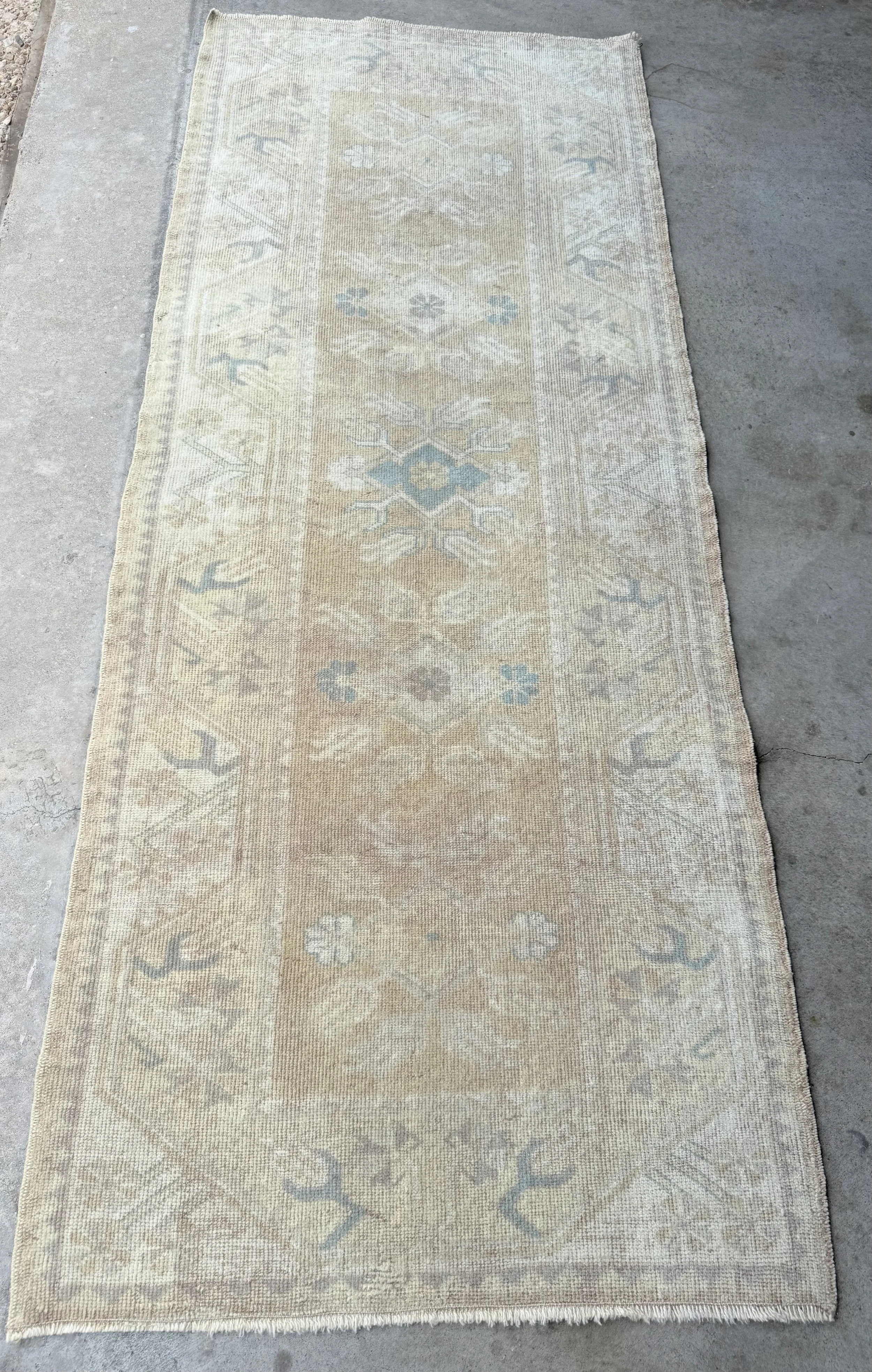 Lavender Llano