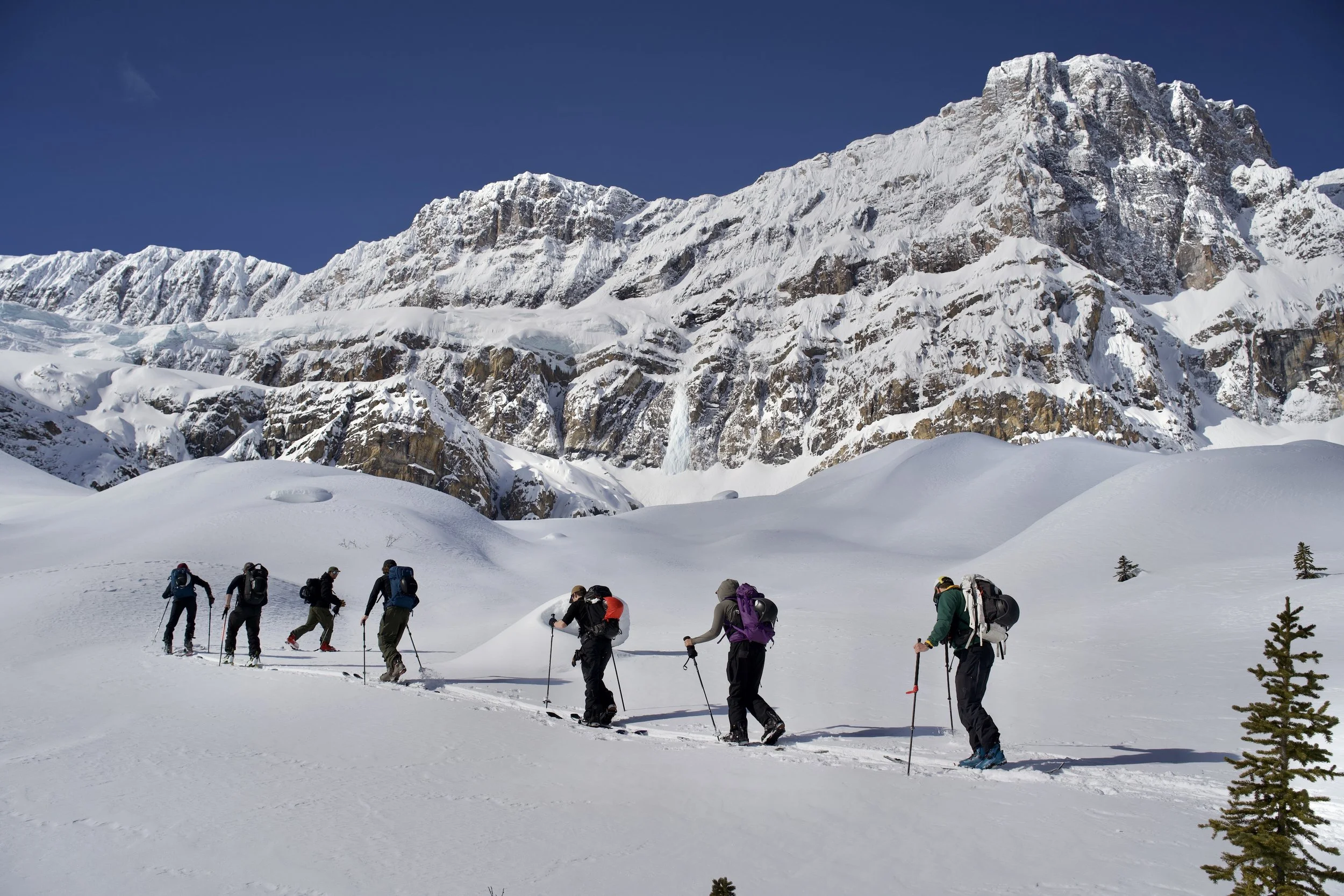 TRP09177.jpg