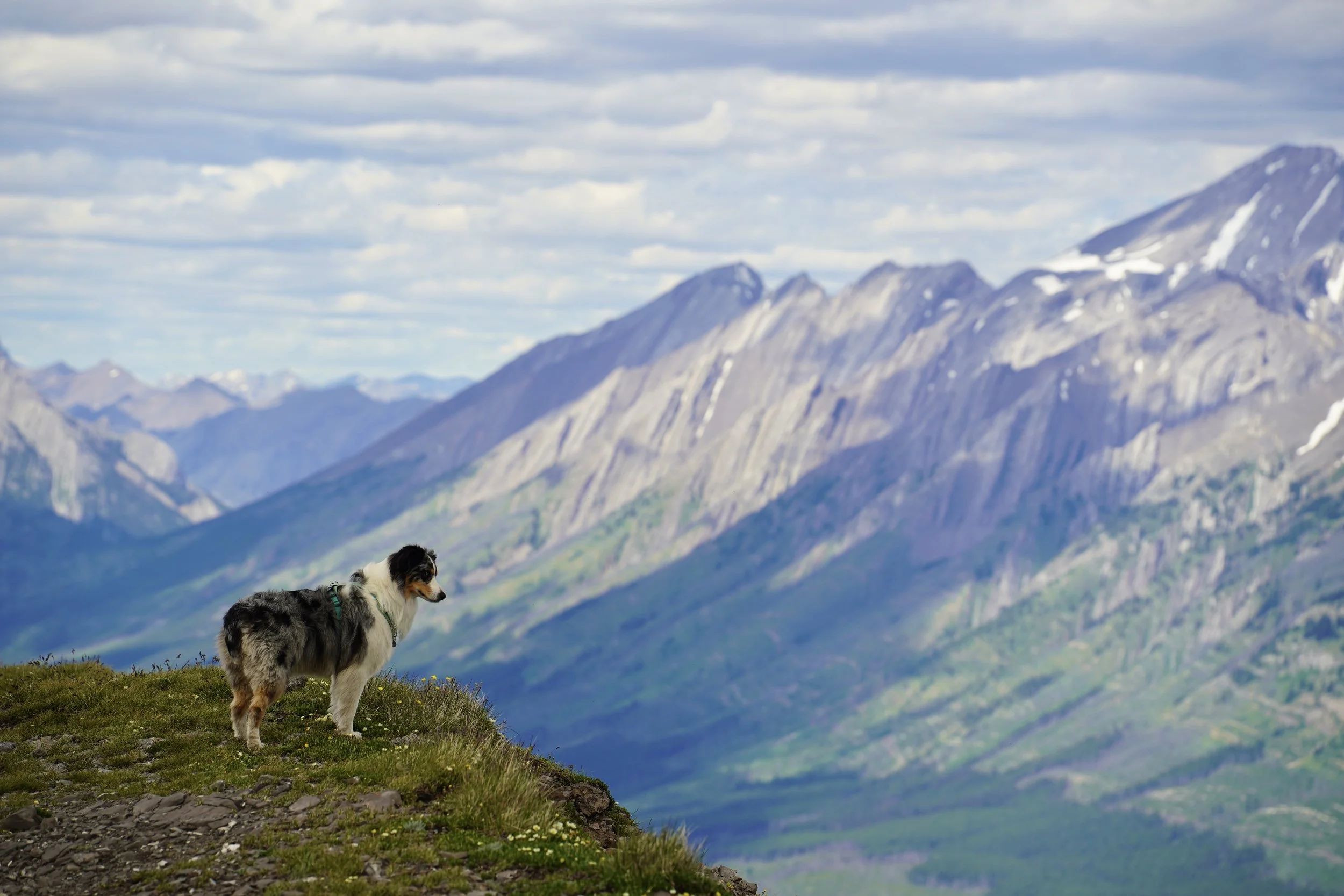 TRP08369.jpg