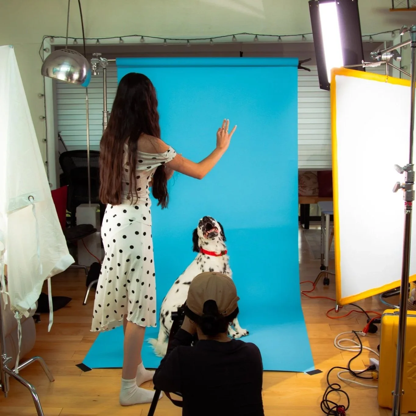 A woman with long brown hair, wearing a white dress with black polka dots, is standing and reaching toward a Dalmatian dog sitting on a blue background in a photography studio. There are studio lights, reflectors, and equipment around.