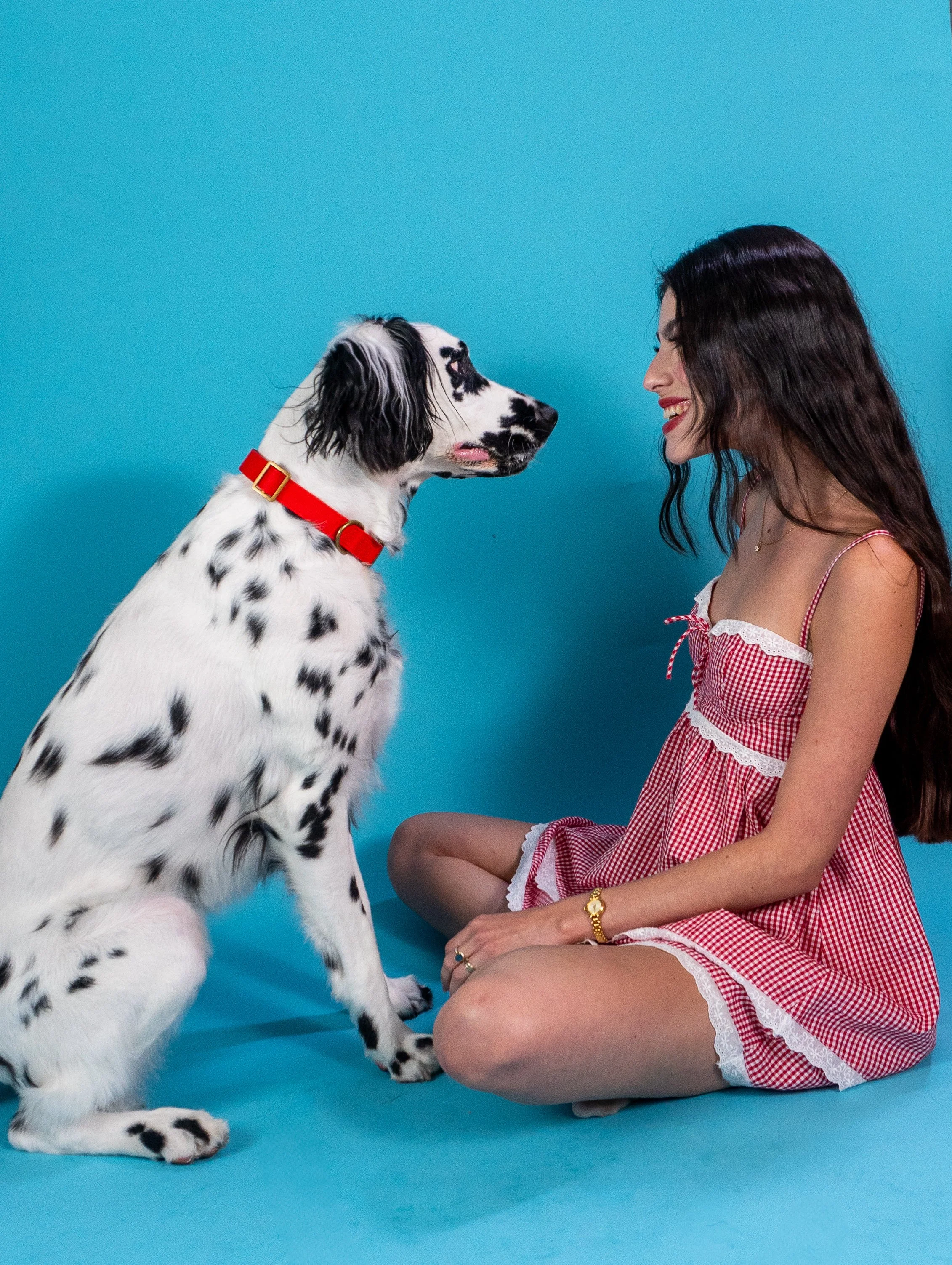 A woman in a red and white checkered dress smiling at a Dalmatian puppy against a blue background.