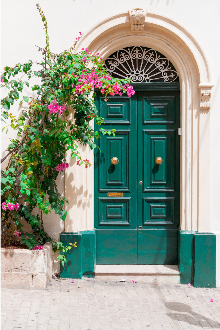 A dark green paneled door with an arched wrought iron transom above it, set into a cream stone archway, with pink bougainvillea flowers climbing beside it