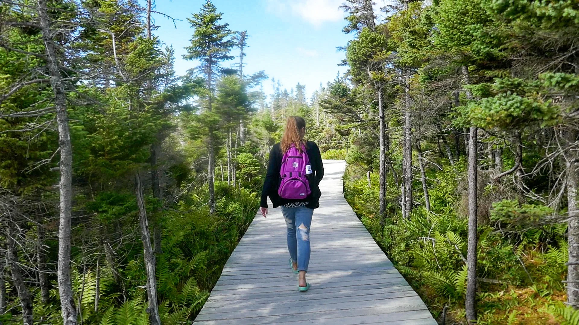 A woman walking on a wooden trail through a lush forest with tall green trees and ferns, wearing a black jacket, ripped jeans, and a purple backpack.