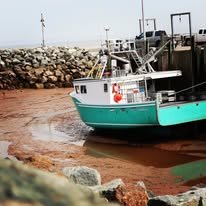 A boat docked next to a rocky harbor, with muddy water visible in the foreground, tide out in the bay of fundy.