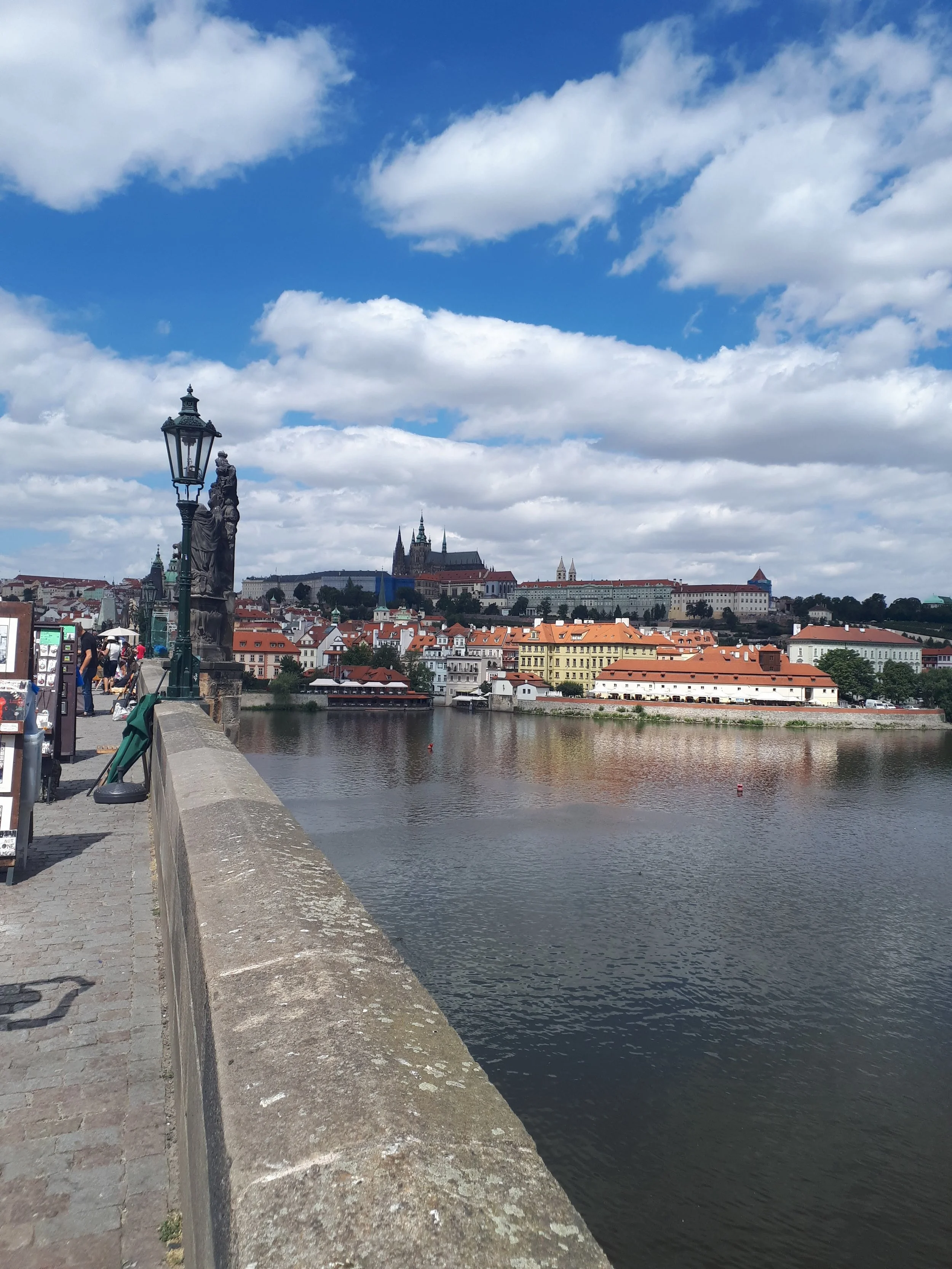 View of a river with buildings on the opposite bank, historic churches with spires, a castle on a hill, and a partly cloudy sky.