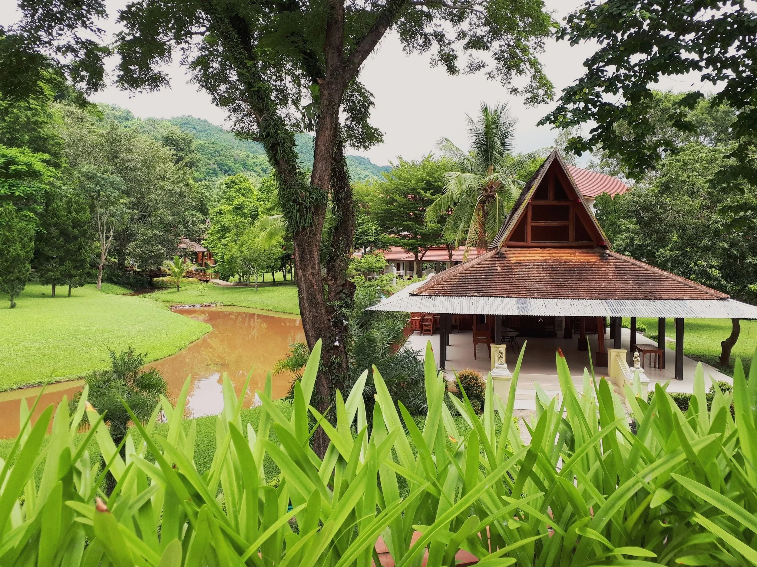 A scenic view of a lush green garden with a small pond, surrounded by various trees and plants, with houses and mountains in the background, in the countryside north of Chiang Mai, Thailand