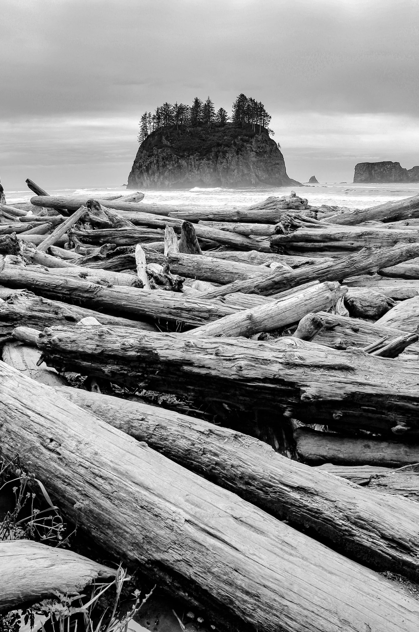 Forks Washington