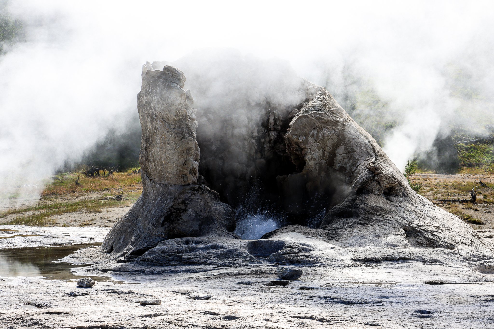 Geyser
