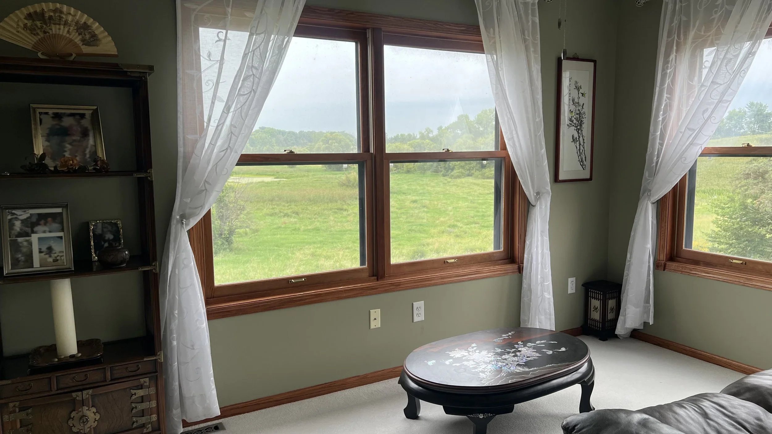 RootedRetreat_Before_View_PhotosObscured.webp