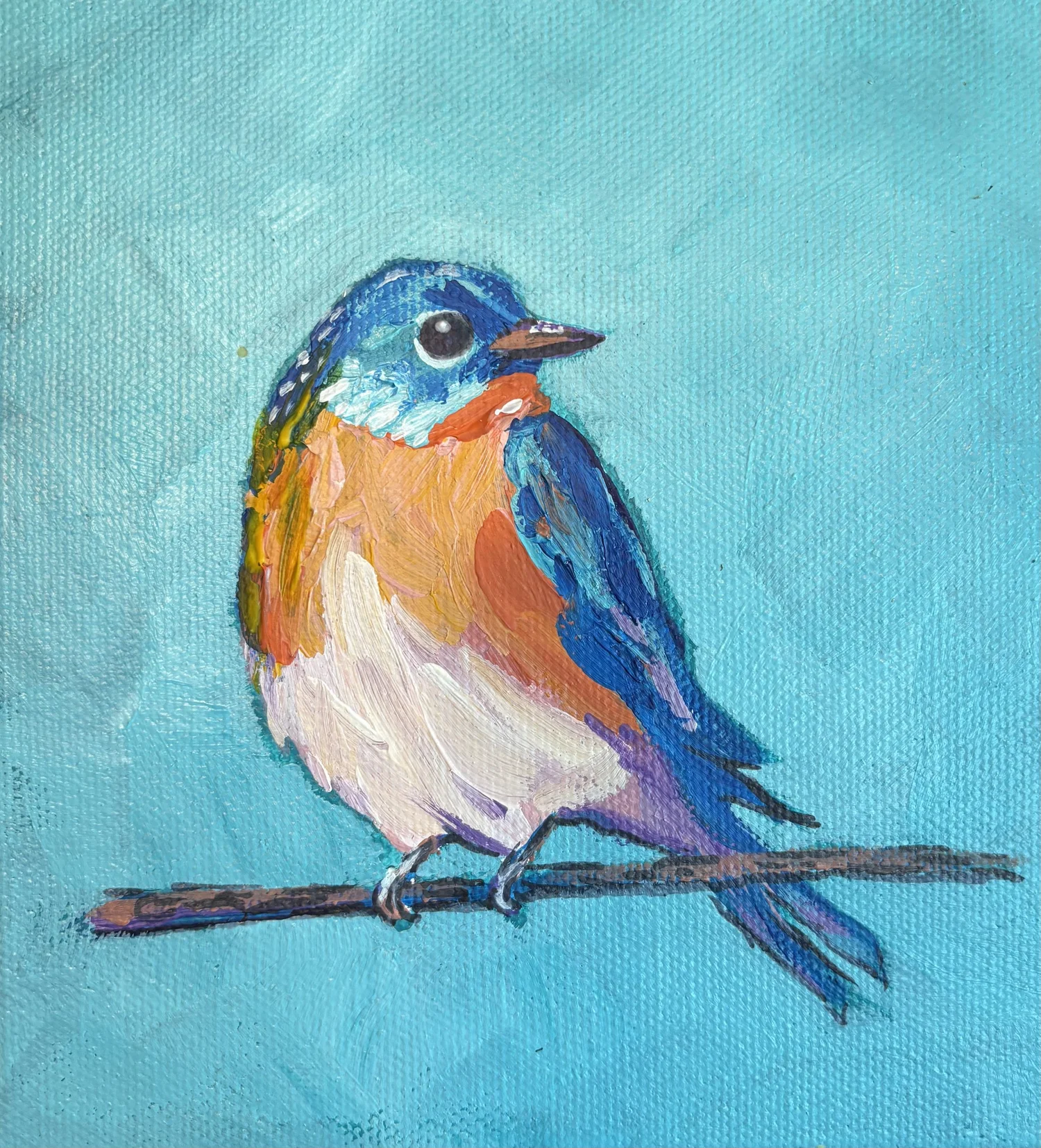 Katie Campbell Studio