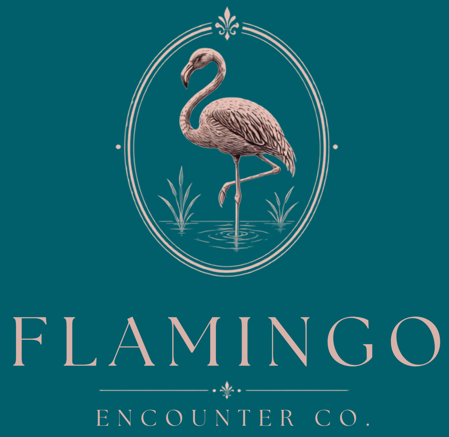 Flamingo Encounter Co.
