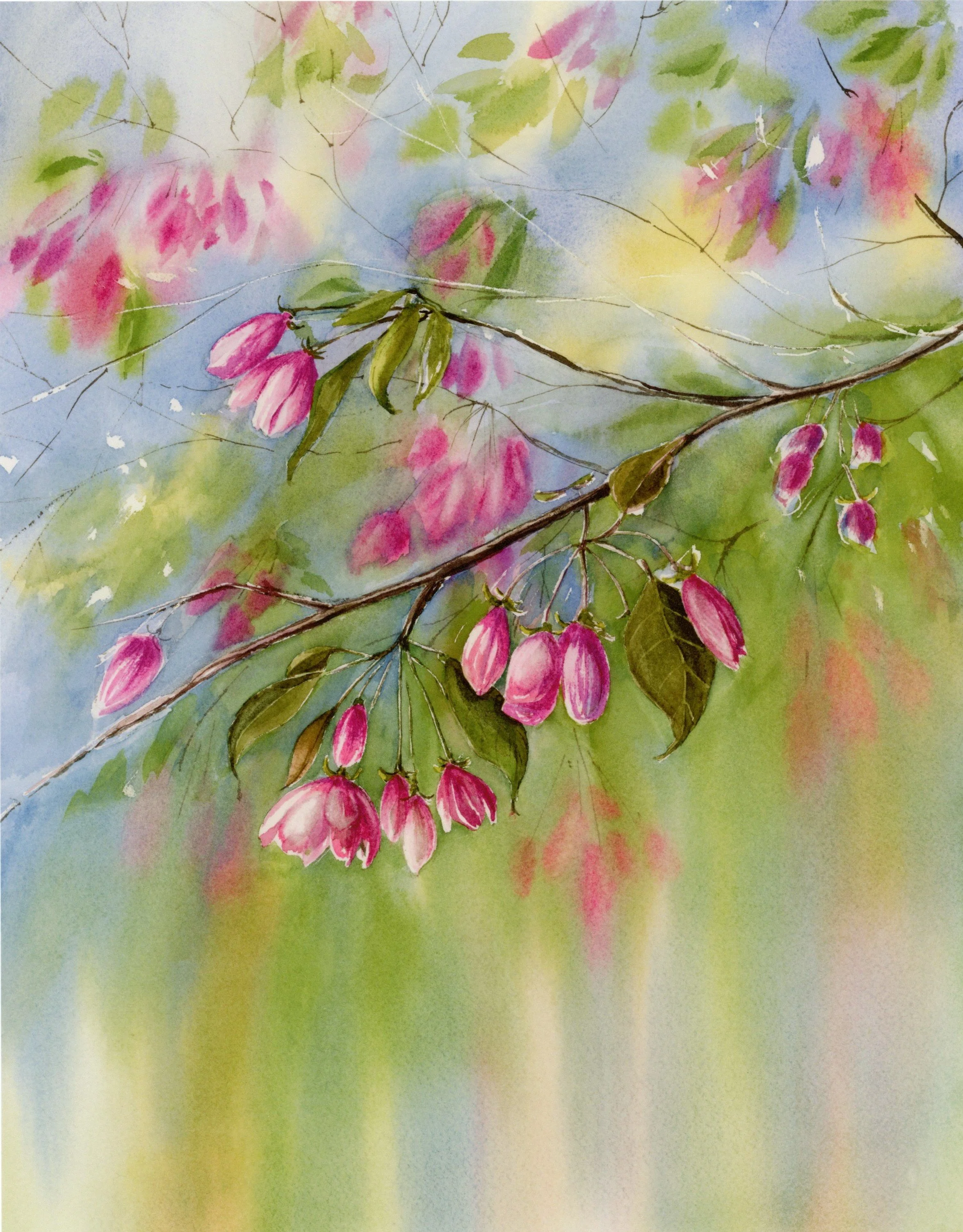 Spring blooms