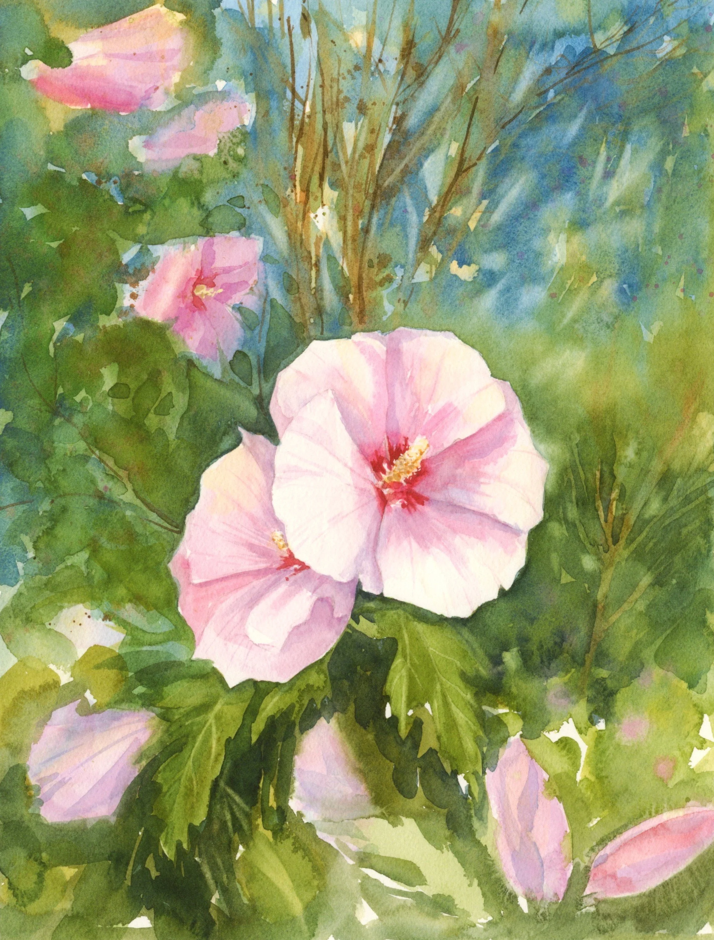 Summer blooms