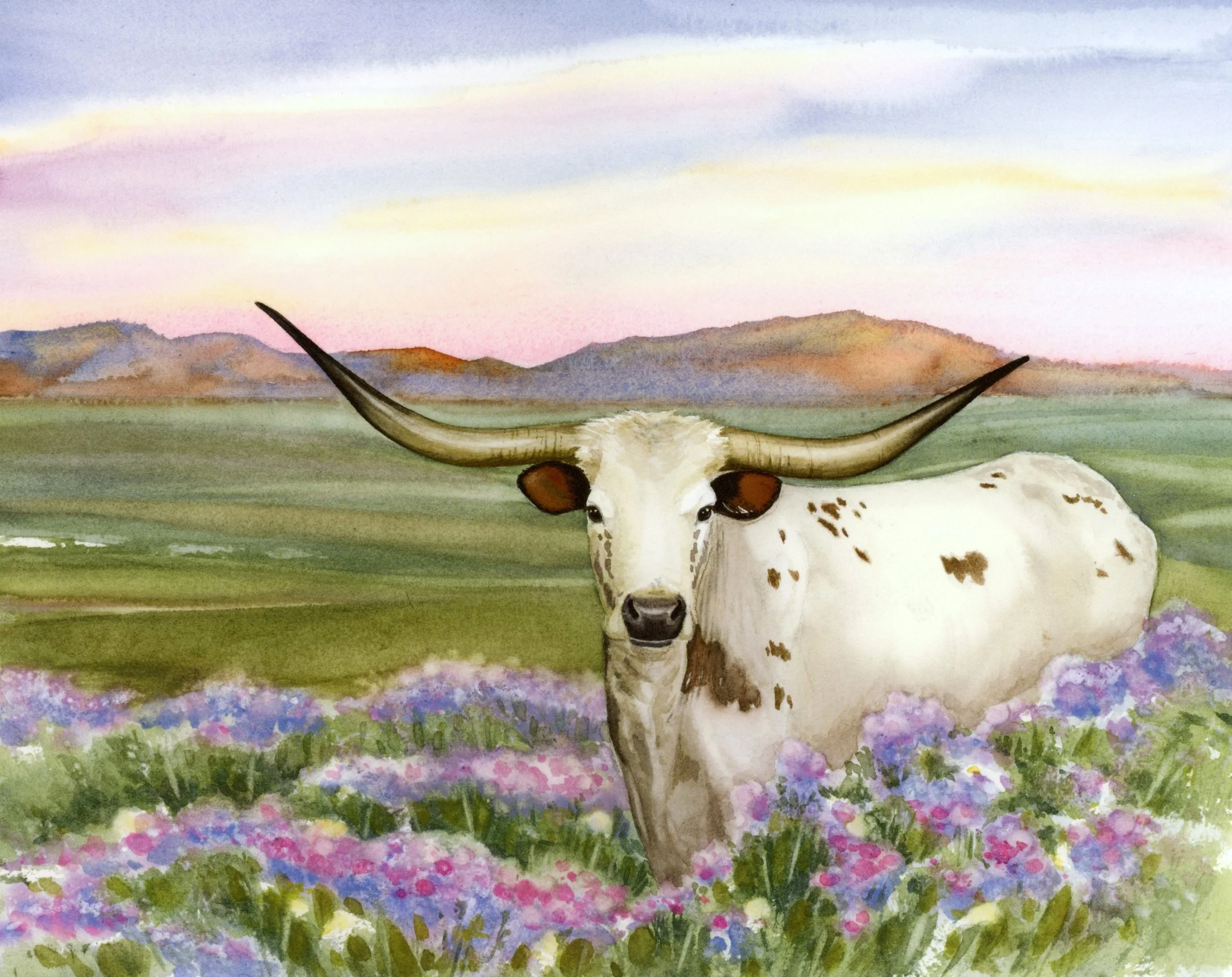Longhorn in the flower valley