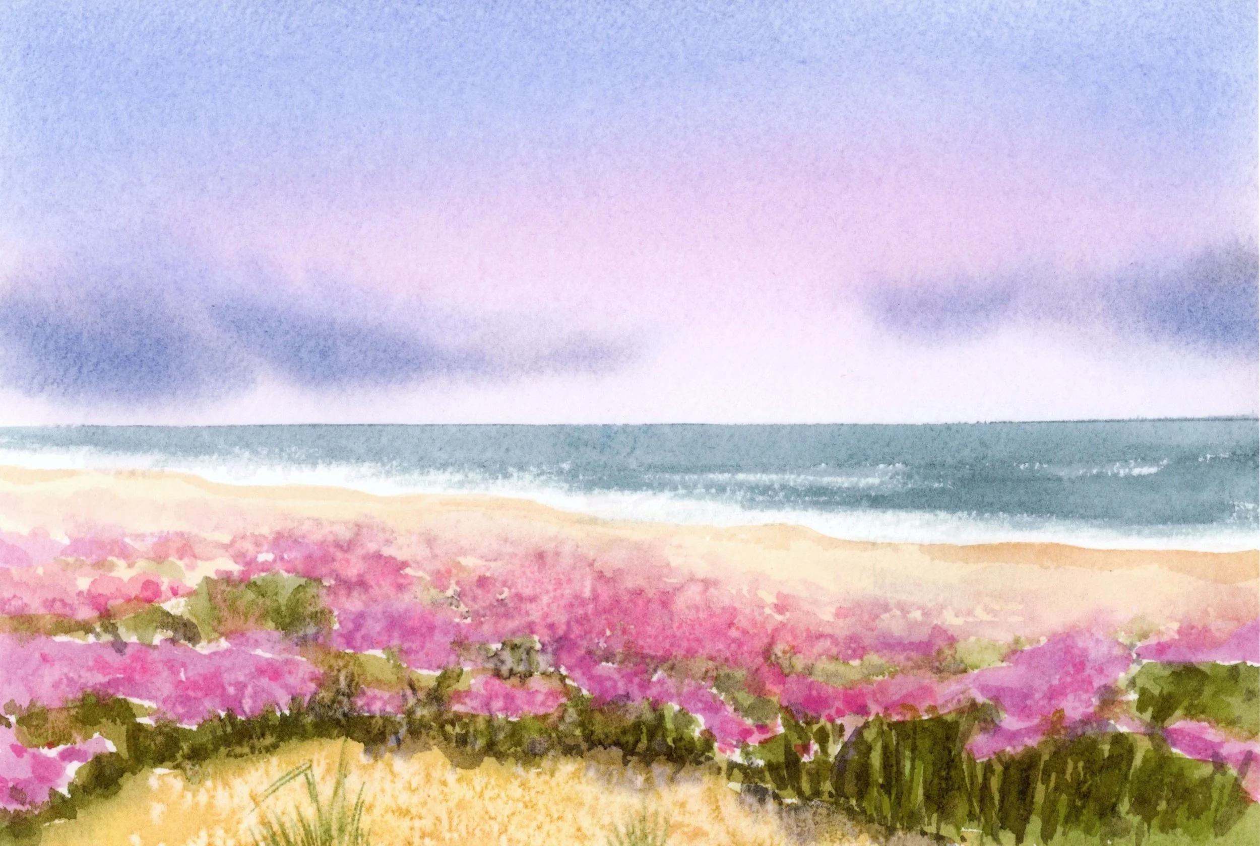 Coastal Blooms