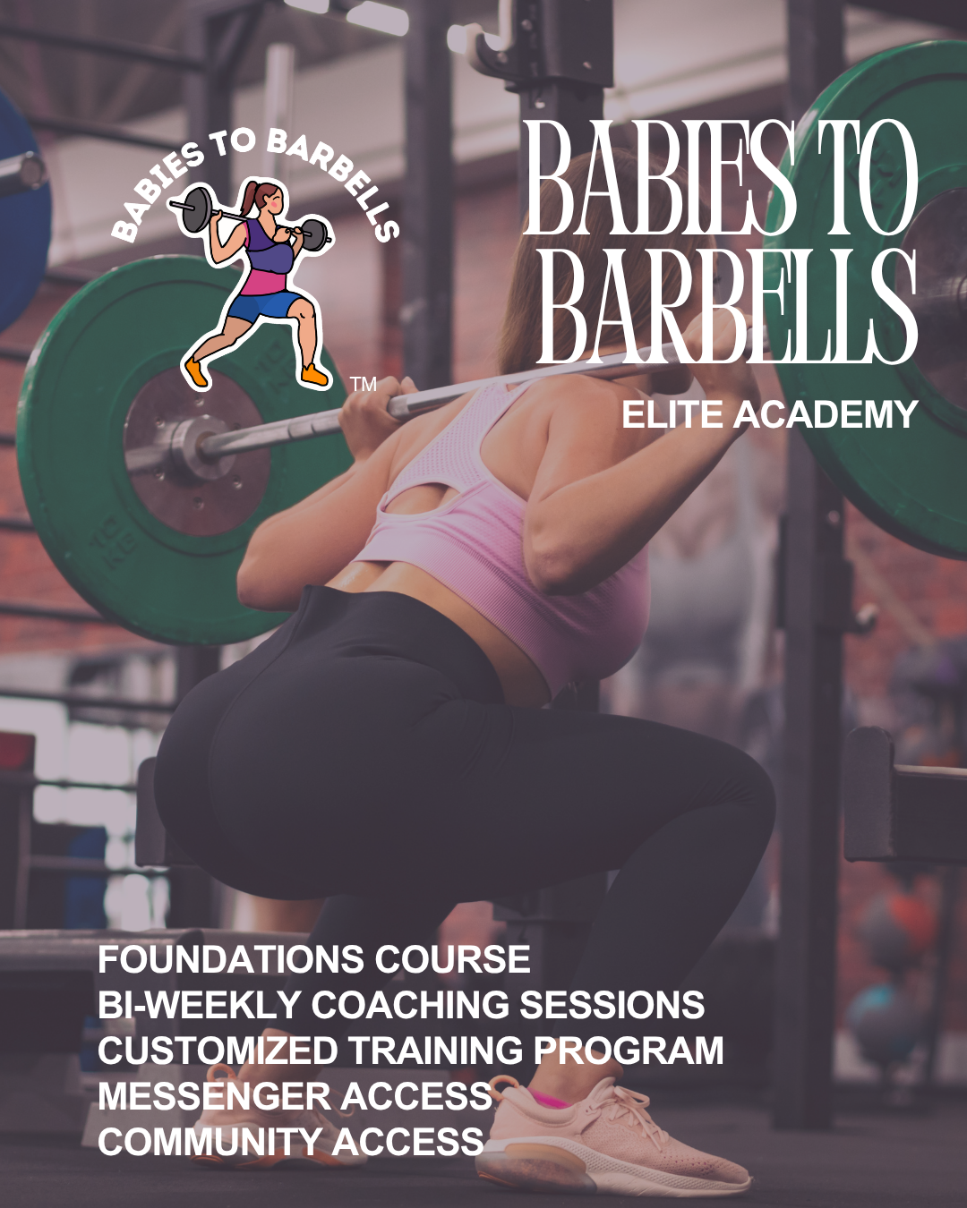 A woman in workout clothes is lifting a barbell with green weights in a gym. Overlaid text reads "Babes to Barbells Elite Academy," and additional text lists features such as foundations course, bi-weekly coaching, customized training, messenger access, and community access.