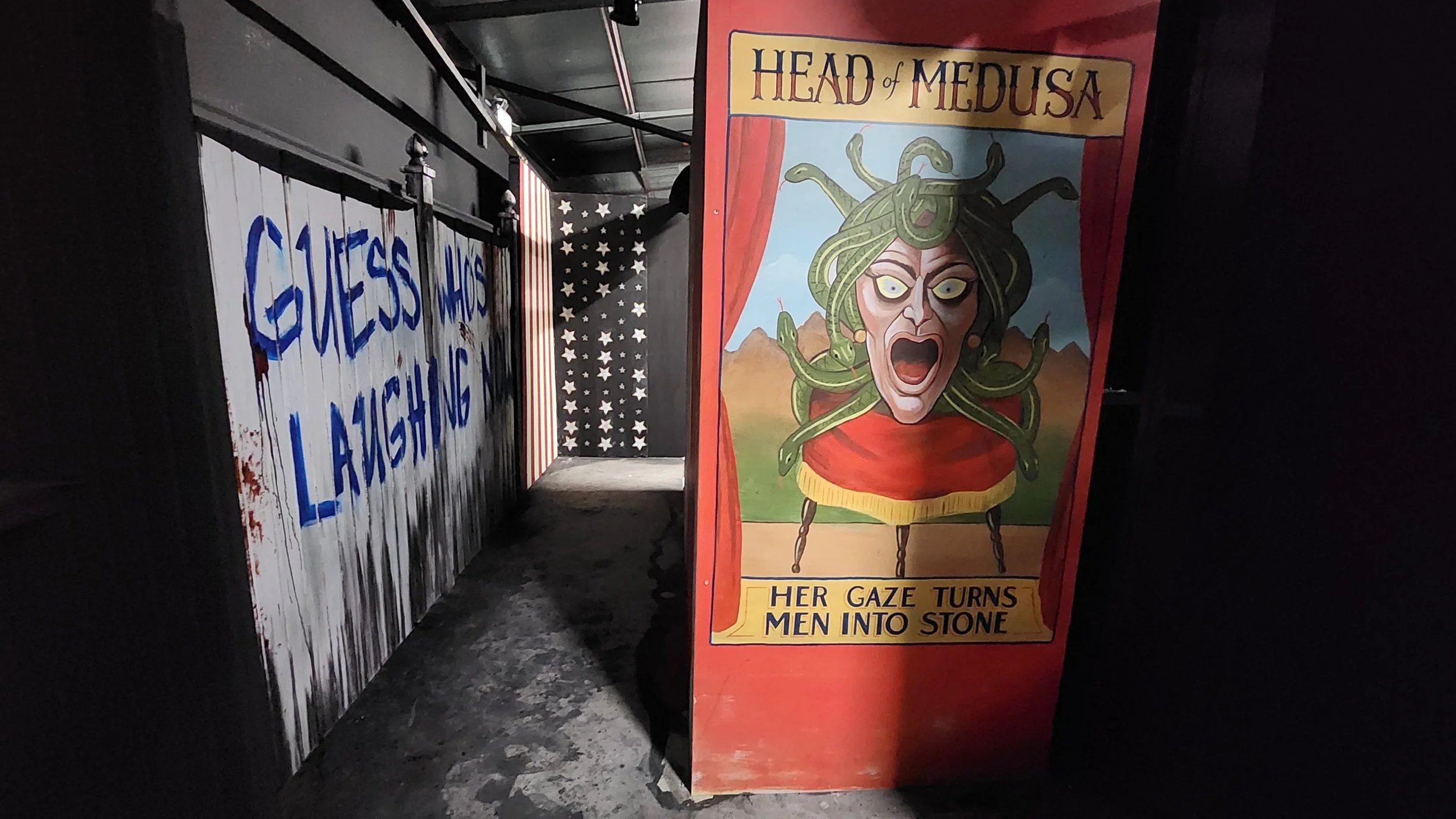 Painted banner for a haunted attraction titled "Head of Medusa," depicting a mythological figure with a woman’s face and multiple snakes for hair, with mountains and a blue sky in the background.