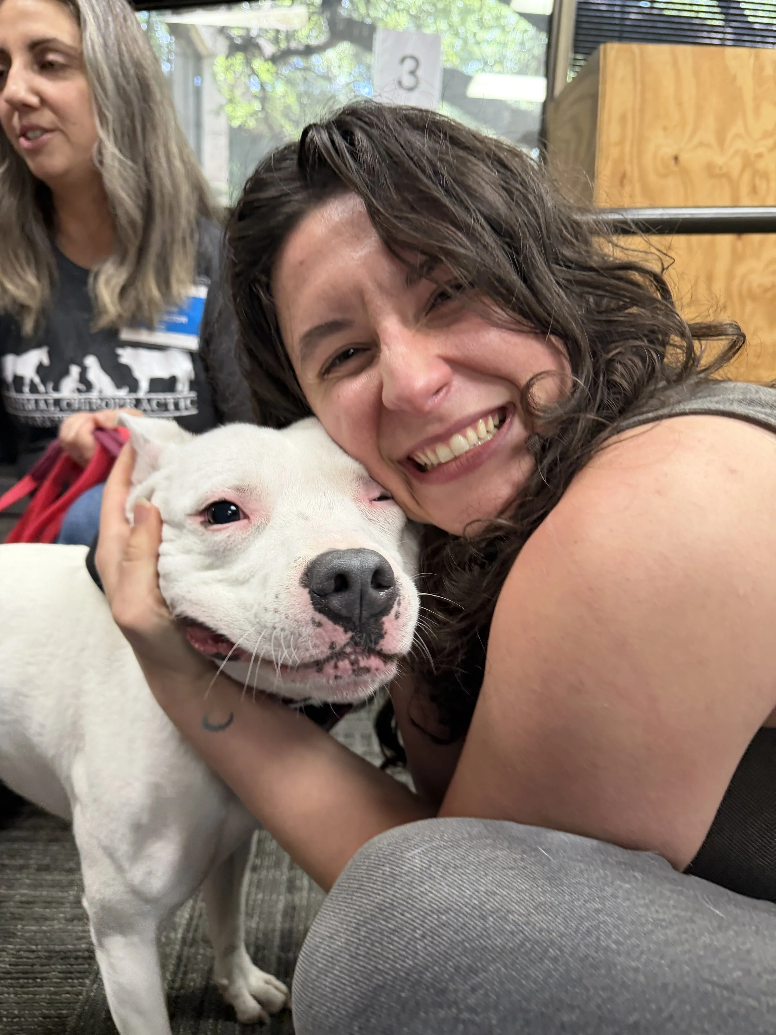 Dr. Madison McCue, DC, with a canine chiropractic patient in Dallas, TX. Animal chiropractic care supporting dogs with arthritis, hip discomfort, back pain, joint stiffness, mobility limitations, and age-related movement difficulties.