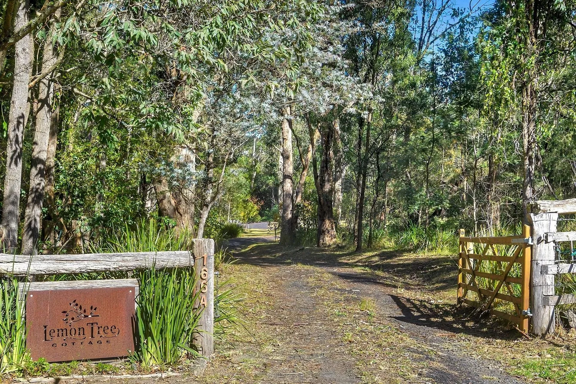 Entrance to Lemon Tree Cottage, a wooded area with a dirt pathway, trees on both sides, and a wooden gate on the right.
