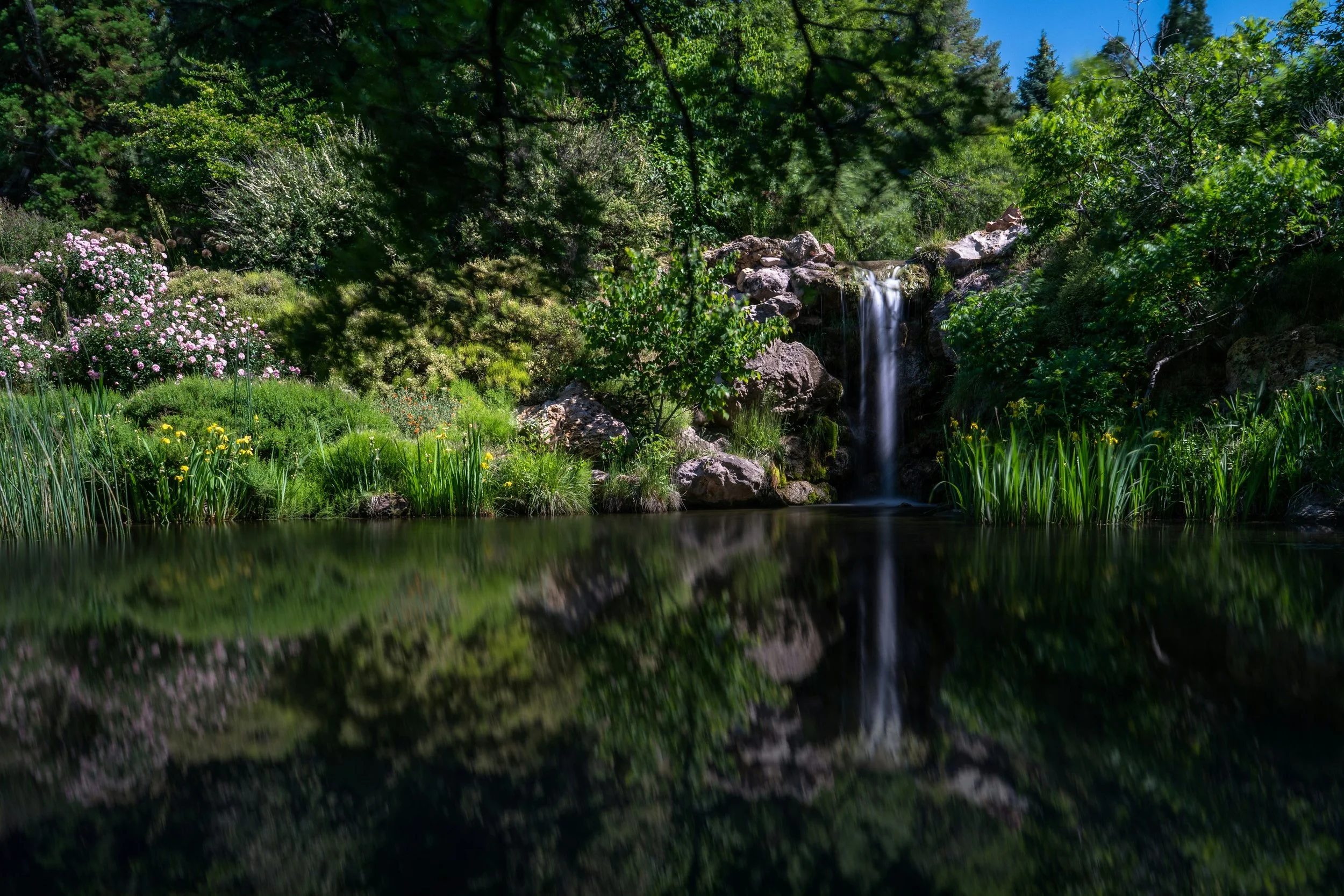 A lush green forest with a small waterfall flowing over rocks into a calm pond, surrounded by flowering plants and trees under a clear blue sky.