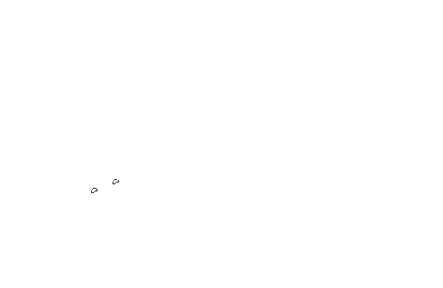 Hamster and Friends