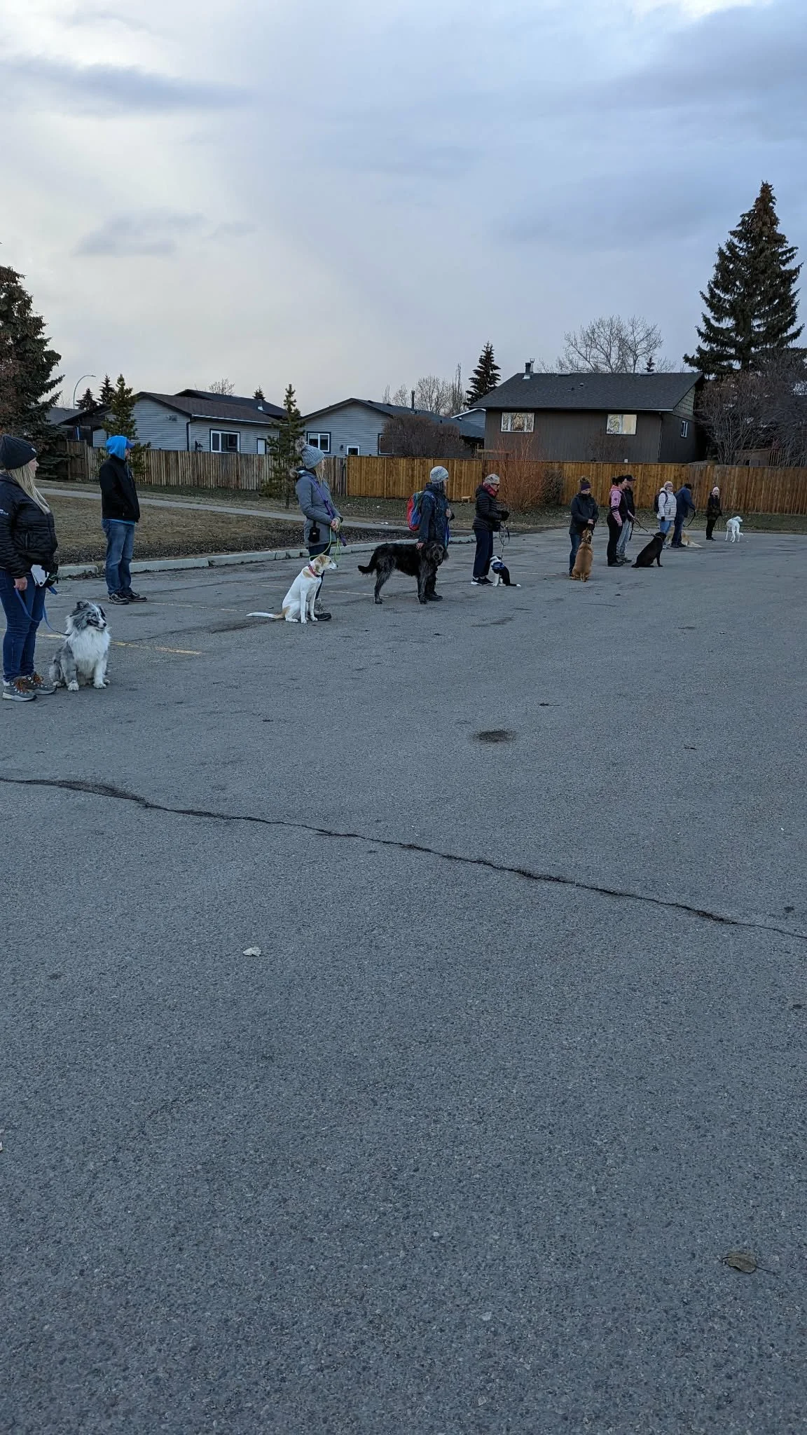 Group Training