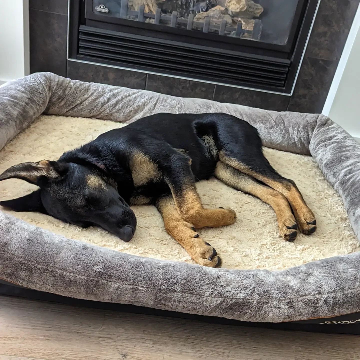 A dog sleeping on a plush, beige dog bed near a fireplace.